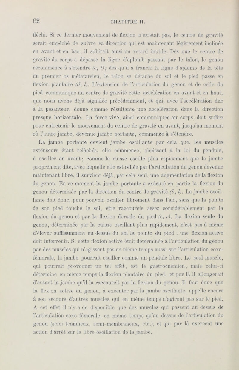 fléchi. Si ce dernier mouvement de flexion n’existait pas, le centre de gravité serait empêché de suivre sa direction qui est maintenant légèrement inclinée en avant et en bas; il subirait ainsi un retard inutile. Dès que le centre de gravité du corps a dépassé la ligne d’aplomb passant par le talon, le genou recommence à s’étendre (c, l) ; dès qu’il a franchi la ligne d’aplomb de la tète du premier os métatarsien, le talon se détache du sol et le pied passe en flexion plantaire (cl, l). L’extension do l’articulation du genou et de celle du pied communique au centre de gravité cette accélération en avant et en haut, que nous avons déjà signalée précédemment, et qui, avec l’accélération due à la pesanteur, donne comme résultante une accélération dans la direction presque horizontale. La force vive, ainsi communiquée au corps, doit suffire pour entretenir le mouvement du centre de gravité en avant, jusqu’au moment où l’autre jambe, devenue jambe portante, commence à s’étendre. La jambe portante devient jambe oscillante par cela que, les muscles extenseurs étant relâchés, elle commence, obéissant à la loi du pendule, à osciller en avant ; comme la cuisse oscille plus rapidement que la jambe proprement dite, avec laquelle elle est reliée par l’articulation du genou devenue maintenant libre, il survient déjà, par cela seul, une augmentation de la flexion du genou. En ce moment la jambe portante a exécuté en partie la flexion du genou déterminée par la direction du centre de gravité (b, l). La jambe oscil- lante doit donc, pour pouvoir osciller librement dans l’air, sans que la pointe de son pied touche le sol, être raccourcie assez considérablement par la flexion du genou et par la flexion dorsale du pied (c, r). La flexion seule du genou, déterminée par la cuisse oscillant plus rapidement, n’est pas à même d’élever suffisamment au dessus du sol la pointe du pied : une flexion active doit intervenir. Si cette flexion active était déterminée à l’articulation du genou par des muscles qui n’agissent pas en même temps aussi sur l’articulation coxo- fémorale, la jambe pourrait osciller comme un pendule libre. Le seul muscle, qui pourrait provoquer un tel effet, est le gastroenémien, mais celui-ci détermine en même temps la flexion plantaire du pied, et par là il allongerait d’autant la jambe qu’il la raccourcit par la flexion du genou. Il faut donc que la flexion active du genou, à exécuter par la jambe oscillante, appelle encore à son secours d’autres muscles qui en même temps n’agiront pas sur le pied. A cet effet il n’y a de disponible que des muscles qui passent au dessus de l’articulation coxo-fémorale, on même temps qu’au dessus do l’articulation du genou (semi-tendineux, somi-membraneux, etc.), et qui par là exercent une action d’arrêt sur la libre oscillation de la jambe.