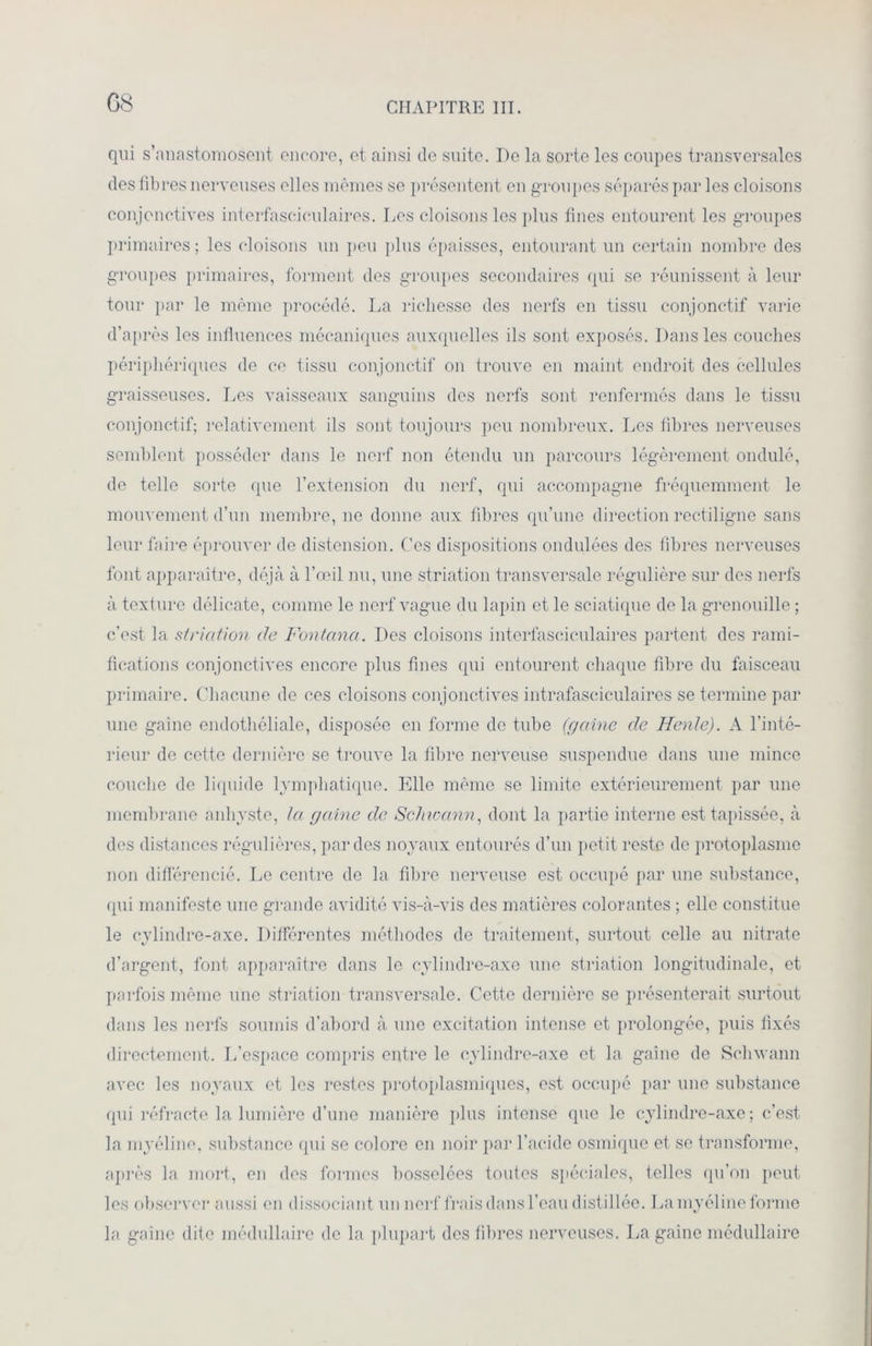 qui s’anastomosent encore, et ainsi de suite. De la sorte les coupes transversales des fibres nerveuses elles mêmes se présentent en groupes séparés par les cloisons conjonctives interfaseiculaires. Les cloisons les plus fines entourent les groupes primaires ; les cloisons un peu plus épaisses, entourant un certain nombre des groupes primaires, forment des groupes secondaires qui se réunissent à leur tour par le même procédé. La richesse des nerfs en tissu conjonctif varie d’après les influences mécaniques auxquelles ils sont exposés. Dans les couches périphériques de ce tissu conjonctif on trouve en maint endroit des cellules graisseuses. Les vaisseaux sanguins des nerfs sont renfermés dans le tissu conjonctif; relativement ils sont toujours peu nombreux. Les fibres nerveuses semblent posséder dans le nerf non étendu un parcours légèrement ondulé, de telle sorte (pie l’extension du nerf, qui accompagne fréquemment le mouvement d’un membre, ne donne aux fibres qu’une direction rectiligne sans leur faire éprouver de distension. Ces dispositions ondulées des fibres nerveuses font apparaître, déjà à l’œil nu, une striation transversale régulière sur des nerfs à texture délicate, comme le nerf vague du lapin et le sciatique de la grenouille ; c’est la striation de Fontana. Des cloisons interfaseiculaires partent des rami- fications conjonctives encore plus fines qui entourent chaque fibre du faisceau primaire. Chacune de ces cloisons conjonctives intrafaseiculaires se termine par une gaine endothéliale, disposée en forme do tube (gaine de Henle). A l’inté- rieur de cette dernière se trouve la fibre nerveuse suspendue dans une mince couclie de liquide lymphatique. Elle même se limite extérieurement par une membrane anhyste, la gaine de Schwann, dont la partie interne est tapissée, à des distances régulières, par des noyaux entourés d’un petit reste de protoplasme non différencié. Le centre de la fibre nerveuse est occupé par une substance, qui manifeste une grande avidité vis-à-vis des matières colorantes ; elle constitue le cylindre-axe. Différentes méthodes de traitement, surtout celle au nitrate d’argent, font apparaître dans le cylindre-axe une striation longitudinale, et parfois même une striation transversale. Cette dernière se présenterait surtout dans les nerfs soumis d’abord à une excitation intense et prolongée, puis fixes directement. L’espace compris entre le cylindre-axe et la gaine de Schwann avec les noyaux et les restes protoplasmiques, est occupé par une substance qui réfracte la lumière d’une manière plus intense que le cylindre-axe; c’est la myéline, substance qui se colore en noir par l’acide osmique et se transforme, après la mort, en des formes bosselées toutes spéciales, telles qu’on peut les observer aussi en dissociant un nerf frais dans l'eau distillée. La myéline forme la gaine dite médullaire de la plupart des fibres nerveuses. La gaine médullaire