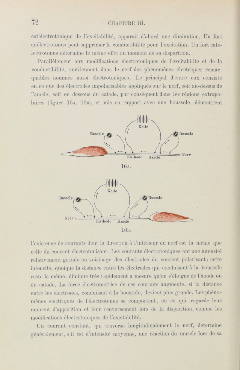 catélectrotonique tic l’excitabilité, apparaît d’abord une diminution. Un fort anélectrotonus peut supprimer la conductibilité pour l’excitation. Un fort caté- lectrotonus détermine le même effet au moment de sa disparition. Parallèlement aux modifications électrotoniques de l’excitabilité et de la conductibilité, surviennent dans le nerf des phénomènes électriques remar- quables nommés aussi électrotoniques. Le principal d’entre eux consiste en ce que des électrodes impolarisables appliqués sur le nerf, soit au-dessus de l’anode, soit en dessous du catode, par conséquent dans les régions extrapo- laires (figure 16a, 16b), et mis en rapport avec une boussole, démontrent 16a. 16b. l’existence de courants dont la direction à l’intérieur du nerf est la même que celle du courant électrotonisant. Les courants électrotoniques ont une intensité relativement grande au voisinage des électrodes du courant polarisant ; cette intensité, quoique la distance entre les électrodes qui conduisent à la boussole reste la même, diminue très rapidement à mesure qu’on s’éloigne de l’anode ou du catode. La force électromotrice de ces courants augmente, si la distance entre les électrodes, conduisant à la boussole, devient plus grande. Les phéno- mènes électriques de l’électrotonus se comportent, en ce qui regarde leur moment d’apparition et leur renversement lors de la disparition, comme les modifications électrotoniques de l’excitabilité. Un courant constant, qui traverse longitudinalement le nerf, détermine généralement, s’il est d’intensité moyenne, une réaction du muscle lors de sa