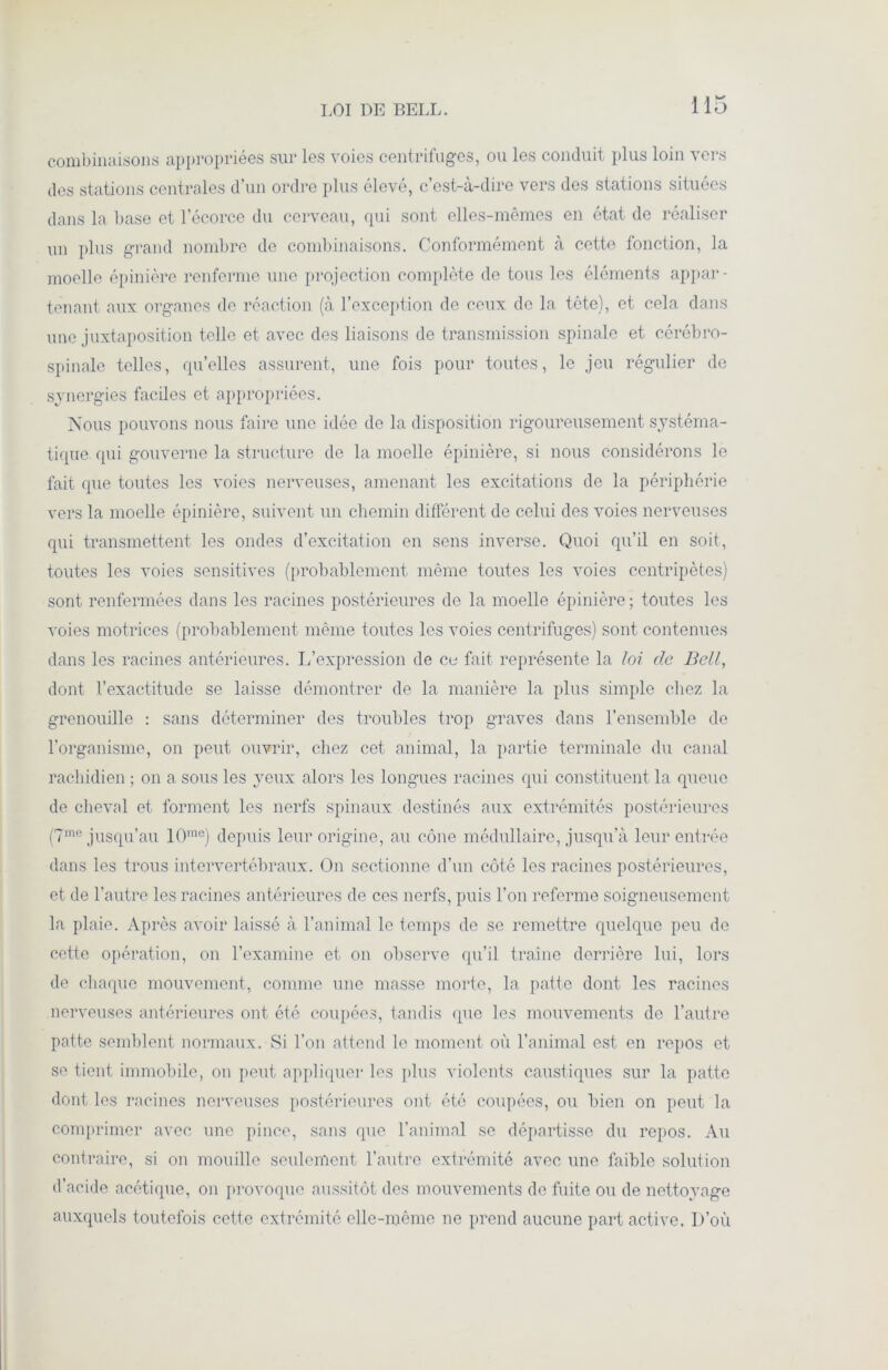 LOI DE BELL. combinaisons appropriées sur les voies centrifuges, ou les conduit plus loin vers des stations centrales d’un ordre plus élevé, c’est-à-dire vers des stations situées dans la base et l’écorce du cerveau, qui sont elles-mêmes en état de réaliser un plus grand nombre de combinaisons. Conformément à cette fonction, la moelle épinière renferme une projection complète de tous les éléments appar- tenant aux organes de réaction (à l’exception de ceux de la tête), et cela dans une juxtaposition telle et avec des liaisons de transmission spinale et cérébro- spinale telles, quelles assurent, une fois pour toutes, le jeu régulier de synergies faciles et appropriées. Nous pouvons nous faire une idée de la disposition rigoureusement systéma- tique qui gouverne la structure de la moelle épinière, si nous considérons le fait que toutes les voies nerveuses, amenant les excitations de la périphérie vers la moelle épinière, suivent un chemin différent de celui des voies nerveuses qui transmettent les ondes d’excitation en sens inverse. Quoi qu’il en soit, toutes les voies sensitives (probablement même toutes les voies centripètes) sont renfermées dans les racines postérieures de la moelle épinière ; toutes les voies motrices (probablement même toutes les voies centrifuges) sont contenues dans les racines antérieures. L’expression de ce fait représente la loi de Bell, dont l’exactitude se laisse démontrer de la manière la plus simple chez la grenouille : sans déterminer des troubles trop graves dans l’ensemble de l’organisme, on peut ouvrir, chez cet animal, la partie terminale du canal rachidien ; on a sous les yeux alors les longues racines qui constituent la queue de cheval et forment les nerfs spinaux destinés aux extrémités postérieures (7me jusqu’au 10me) depuis leur origine, au cône médullaire, jusqu’à leur entrée dans les trous intervertébraux. On sectionne d’un côté les racines postérieures, et de l’autre les racines antérieures de ces nerfs, puis l’on referme soigneusement la plaie. Après avoir laissé à l’animal le temps de se remettre quelque peu de cette opération, on l’examine et on observe qu’il traîne derrière lui, lors de chaque mouvement, comme une masse morte, la patte dont les racines nerveuses antérieures ont été coupées, tandis que les mouvements de l’autre patte semblent normaux. Si l’on attend le moment où l’animal est en repos et se tient immobile, on peut appliquer les plus violents caustiques sur la patte dont les racines nerveuses postérieures ont été coupées, ou bien on peut la comprimer avec une pince, sans que l’animal se départisse du repos. Au contraire, si on mouille seulement l’autre extrémité avec une faible solution d’acide acétique, on provoque aussitôt des mouvements do fuite ou de nettoyage auxquels toutefois cette extrémité elle-même ne prend aucune part active. D’où