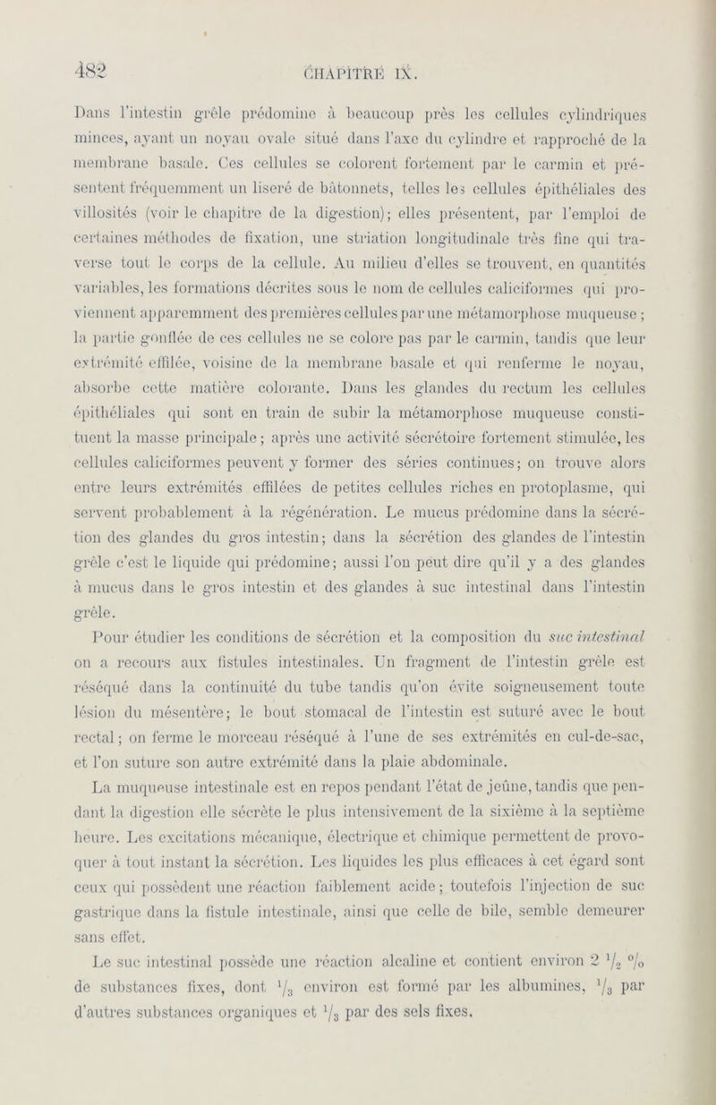 Dans l’intestin grêle prédomine à beaucoup près les cellules cylindriques minces, ayant un noyau ovale situé dans l’axe du cylindre et rapproché de la membrane basale. Ces cellules se colorent fortement par le carmin et pré- sentent fréquemment un liseré de bâtonnets, telles les cellules épithéliales des villosités (voir le chapitre de la digestion); elles présentent, par l’emploi de certaines méthodes de fixation, une striation longitudinale très fine qui tra- verse tout le corps de la cellule. Au milieu d’elles se trouvent, en quantités variables, les formations décrites sous le nom de cellules caliciformes qui pro- viennent apparemment des premières cellules par une métamorphose muqueuse ; la partie gonflée de ces cellules ne se colore pas par le carmin, tandis que leur extrémité effilée, voisine de la membrane basale et qui renferme le noyau, absorbe cette matière colorante. Dans les glandes du rectum les cellules épithéliales qui sont en train de subir la métamorphose muqueuse consti- tuent la masse principale; après une activité sécrétoire fortement stimulée, les cellules caliciformes peuvent y former des séries continues ; on trouve alors entre leurs extrémités effilées de petites cellules riches en protoplasme, qui servent probablement à la régénération. Le mucus prédomine dans la sécré- tion des glandes du gros intestin; dans la sécrétion des glandes de l'intestin grêle c’est le liquide qui prédomine; aussi l'on peut dire qu'il y a des glandes à mucus dans le gros intestin et des glandes à suc intestinal dans l’intestin grêle. Pour étudier les conditions de sécrétion et la composition du suc intestinal on a recours aux fistules intestinales. Un fragment de l’intestin grêle est réséqué dans la continuité du tube tandis qu’on évite soigneusement tonte lésion du mésentère; le bout stomacal de l’intestin est suturé avec le bout rectal; on ferme le morceau réséqué à l’une de ses extrémités en cul-de-sac, et l’on suture son autre extrémité dans la plaie abdominale. La muqueuse intestinale est en repos pendant l’état de jeûne, tandis que pen- dant la digestion elle sécrète le plus intensivement de la sixième à la septième heure. Les excitations mécanique, électrique et chimique permettent de provo- quer à tout instant la sécrétion. Les liquides les plus efficaces à cet égard sont ceux qui possèdent une réaction faiblement acide ; toutefois l’injection de sue gastrique dans la fistule intestinale, ainsi que celle de bile, semble demeurer sans effet. Le suc intestinal possède une réaction alcaline et contient environ 2 ]/2 °/0 de substances fixes, dont 1j3 environ est formé par les albumines, lj3 par d’autres substances organiques et ljz par des sels fixes.