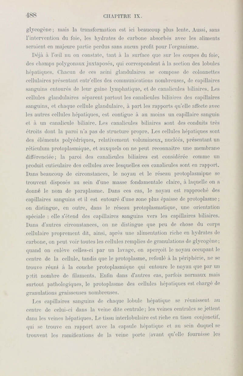glycogène ; mais la transformation est ici beaucoup plus lente. Aussi, sans l’intervention du foie, les hydrates de carbone absorbés avec les aliments seraient en majeure partie perdus sans aucun profit pour l’organisme. Déjà à l’œil nu on constate, tant à la surface que sur les coupes du foie, des champs polygonaux juxtaposés, qui correspondent à la section des lobules hépatiques. Chacun de ces acini glandulaires se compose de colonnettes cellulaires présentant entr’elles des communications nombreuses, de capillaires sanguins entourés de leur gaine lymphatique, et de canalicules biliaires. Les cellules glandulaires séparent partout les canalicules biliaires des capillaires sanguins, et chaque cellule glandulaire, à part les rapports qu’elle affecte avec les autres cellules hépatiques, est contiguë à au moins un capillaire sanguin et à un canalicule biliaire. Les canalicules biliaires sont des conduits très étroits dont la paroi n’a pas de structure propre. Les cellules hépatiques sont des éléments polyédriques, relativement volumineux, nucléés, présentant un réticulum protoplasmique, et auxquels on ne peut reconnaître une membrane différenciée ; la paroi des canalicules biliaires est considérée comme un produit cuticulaire des cellules avec lesquelles ces canalicules sont en rapport. Dans beaucoup de circonstances, le noyau et le réseau protoplasmipue se trouvent disposés au sein d’une masse fondamentale claire, à laquelle on a donné le nom de paraplasme. Dans ces cas, le noyau est rapproché des capillaires sanguins et il est entouré d’une zone plus épaisse de protoplasme ; on distingue, en outre, dans le réseau protoplasmatique, une orientation spéciale : elle s’étend des capillaires sanguins vers les capillaires biliaires. Dans d’autres circonstances, on ne distingue que peu de chose du corps cellulaire proprement dit, ainsi, après une alimentation riche en hydrates de carbone, on peut voir toutes les cellules remplies de granulations de glycogène; quand on enlève celles-ci par un lavage, on aperçoit le noyau occupant le centre de la cellule, tandis que le protoplasme, refoulé à la périphérie, ne se trouve réuni à la couche protoplasmique qui entoure le noyau que par un petit nombre de filaments. Enfin dans d’autres cas, parfois normaux mais surtout pathologiques, le protoplasme des cellules hépatiques est chargé de granulations graisseuses nombreuses. Les capillaires sanguins de chaque lobule hépatique se réunissent au centre de celui-ci dans la veine dite centrale ; les veines centrales se jettent dans les veines hépatiques. Le tissu interlobulaire est riche en tissu conjonctif, qui se trouve en rapport avec la capsule hépatique et au sein duquel se trouvent les ramifications de la veine porte (avant qu’elle fournisse les