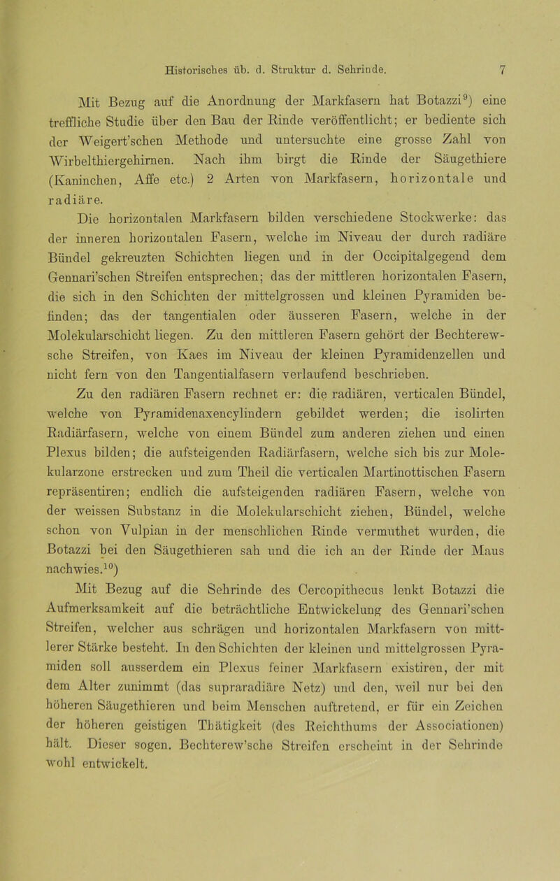 Mit Bezug auf clie Anordnung der Markfasern hat Botazzi9) eine treffliche Studie über den Bau der Rinde veroffentlicht; er hediente sich der Weigert’schen Methode und untersuchte eine grosse Zahl von Wirbelthiergehirnen. Nach ihm birgt die Rinde der Sáugetbiere (Kaninchen, Affe etc.) 2 Arten yon Markfasern, korizontale und radiare. Die borizontalen Markfasern bilden verscbiedene Stockwerke: das der inneren horizontalen Fasern, welche im Nivean der durcb radiare Bündel gekreuzten Schichten liegen und in der Occipitalgegend dem Gennari’schen Streifen entsprechen; das der mittleren horizontalen Fasern, die sich in den Schichten der mittelgrossen und kleinen Pyramiden be- tinden; das der tangentialen oder ausseren Fasern, welche in der Molekularschickt liegen. Zu den mittleren Fasern gehort der Bechterew- sche Streifen, von Kaes im Niveau der kleinen Pyramidenzellen und nicht fern yon den Tangentialfasern verlaufend beschrieben. Zu den radiaren Fasern rechnet er: die radiaren, verticalen Bündel, welche yon Pyramidenaxencylindern gebildet werden; die isolirten Radiarfasern, welche von einem Bündel zum anderen ziehen und einen Plexus bilden; die aufsteigenden Radiarfasern, welche sich bis zur Mole- kularzone erstrecken uud zum Theil die verticalen Martinottischeu Fasern reprasentiren; endlich die aufsteigenden radiaren Fasern, welche von der weissen Substanz in die Molekularschicht ziehen, Bündel, welche schon von Vulpian in der menschlichen Rinde vermuthet wurden, die Botazzi bei den Sáugethieren sah und die ich an der Rinde der Maus nachwies.10) Mit Bezug auf die Sehrinde des Cercopithecus leukt Botazzi die Aufmerksamkeit auf die betráchtliche Entwickelung des Gennari’schen Streifen, welcher aus schragen und horizontalen Markfasern von mitt- lerer Starke besteht. In den Schichten der kleinen und mittelgrossen Pyra- miden solí ausserdem ein Plexus feiner Markfasern existiren, der mit dem Alter zunimmt (das supraradiaro Netz) und den, weil nur bei den hoheren Sáugethieren und beim Menschen auftretend, er für ein Zeiclien der hoheren geistigen Thatigkeit (des Reichthums der Associationcn) hiilt. Diesel- sogcn. Bechterew’sche Streifen erscheint in der Sehrinde wohl entwickelt.