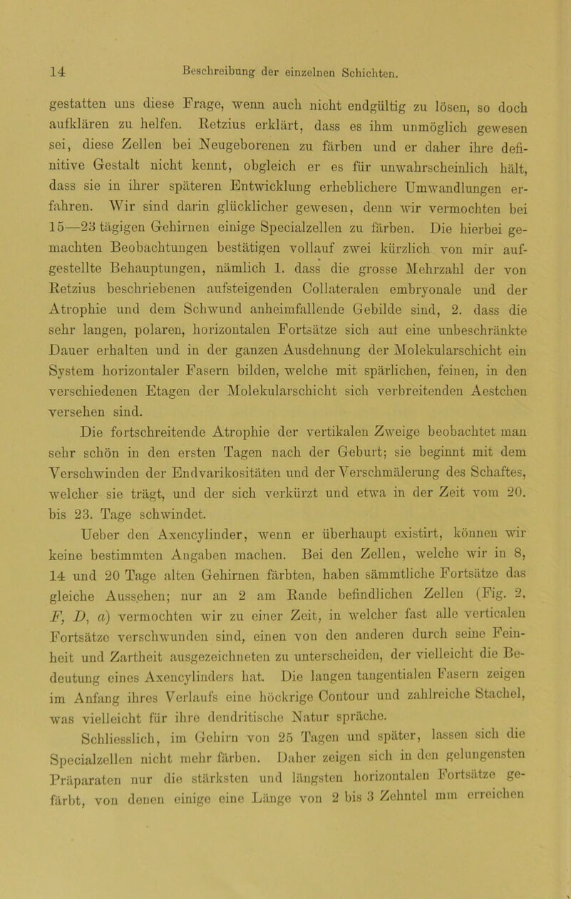 gestatten uns diese Frage, wenn aucli nieht endgültig zu losen, so doch auíkláren zu helfen. Retzius erklart, dass es ikm unmóglick gewesen sei, diese Zellen bei Neugeborenen zu farben und er daher ihre defi- nitive Gestalt nieht kennt, obgleich er es für unwakrscheinlich biilt, dass sie in ikrer spateren Entwicklung erkeblickere Umwandlungen er- fakren. Wir sind darin glücklicker gewesen, denn wir vermockten bei 15—23 tagigen Gekirnen einige Specialzellen zu farben. Die kierbei ge- mackten Beobacbtungen bestatigen yollauf zwei kürzlich yon mir auf- gestellte Bekauptungen, námlick 1. dass die grosse Mekrzahl der yon Betzius besckriebenen aufsteigenden Collateralen embryonale und der Atropkie und dem Sckwund ankeimfallende Gebilde sind, 2. dass die sekr langen, potaren, horizontalen Fortsatze sick aui eine unbeschrankte Dauer erkalten und in der ganzen Ausdeknung der Molekularsckickt ein System korizontaler Faseru bilden, welcke mit sparlicken, feinen, in den yersckiedenen Etagen der Molekularsckickt sick verbreitenden Aestcken yerseken sind. Die fortsckreitende Atropkie der vertikalen Zweige beobacktet man sekr sckon in den ersten Tagen nacli der Geburt; sie beginnt mit dem Yersckwinden der Endvarikositaten und der Versckmálerung des Sckaftes, welcker sie tragt, und der sick verkürzt und etwa in der Zeit vom 20. bis 23. Tage schwindet. Ueber den Axencylinder, wenn er überhaupt existirt, konnen wir keine bestimmten Angaben machen. Bei den Zellen, welcke wir in 8, 14 und 20 Tage alten Gekirnen farbten, kaben sammtlicke Fortsatze das gleicke Ausseben; nur an 2 am Rande befindlichen Zellen (Fig. 2, F, D, a) vermochten wir zu einer Zeit, in welcker fast alie verticalen Fortsatze versckwunden sind, einen yon den anderen durek seine Fein- heit und Zartheit ausgezeichneten zu unterscheiden, der vielleicht die Be- deutung cines Axeucylinders kat. Die langen tangentialen kasein zcigen im Anfang ihres Verlaufs eine hockrige Contour und zaklreicke Stackel, was vielleicht für ikre dendritische Natur spriicke. Schliesslick, im Gehirn von 25 Tagen und spiiter, lassen sick die Specialzellen nickt mekr farben. Daher zeigen sick in den gelungonsten Praparaten nur die stiirksten und langsten horizontalen Fortsatze ge- fárbt, von denen einige cine Liinge von 2 bis 3 Zehntcl mm erreicken