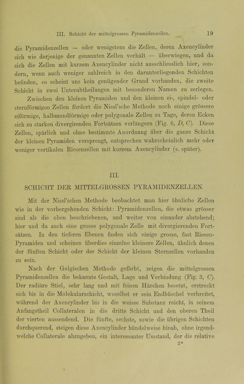 die Pyramidenzellen — oder wenigstens die Zellen, deren Axencylinder sich wie derjenige der genannten Zellen yerhált — iiberwiegen, und da sich die Zellen mit kurzem Axencylinder nicht ausschliesslich hier, son- dem, wenn aucli weniger zahlreich in den darunterliegenden Scliichten befinden, so scheint uns kein genügender Grund yorhanden, die zweite Schicht in zwei Unterabtheilungen mit besonderen Ñamen zu zerlegen. Zwischen den kleinen Pyramiden nnd den kleinen ei-, spindel- oder stemformigen Zellen fordert die Nissl’sche Methode noch einige grossere eifórmige, halbmondformige oder polygonale Zellen zu Tage, deren Ecken sich zu starken divergirenden Fortsatzen yerlángern (Pig. 6, D, C). Diese Zellen, spárlich und ohne bestimmte Anordnung über die ganze Schicht der kleinen Pyramiden versprengt, entsprechen wahrscheinlich mehr oder weniger vertikalen Riesenzellen mit kurzem Axencylinder (s. spater). ni. SCHICHT DER MITTELGROSSEN PYRAMIDENZELLEN. Mit. der Nissl’schen Methode beobachtet man hier ahnliche Zellen wie in der vorhergehenden Schicht: Pyramidenzellen, die etwas grdsser sind ais die oben beschriebenen, und weiter yon einander abstehend; hier und da auch eine grosse polygonale Zelle mit divergierenden Fort- satzen. In den tieferen Ebenen finden sich einige grosse, fast Riesen- Pyramiden und scheinen überdies einzelue kleinere Zellen, ahnlich denen der fünften Schicht oder der Schicht der kleinen Sternzellen yorbanden zu sein. Nach der Golgischen Methode gefárbt, zeigen die mittelgrossen Pyramidenzellen die bekannte Gestalt, Lage und Verbindung (Fig. 3, C). Der radiare Stiel, sehr lang und mit feinen Harchen besetzt, erstreckt sich bis in die Molekularschicht, woselbst er sein Endbüschel verbreitet, wahrend der Axencylinder bis in die weisse Substanz reicht, in seinem Anfangstheil Collateralcn in die dritte Schicht und den oberen Theil der yierten aussendend. Die fiinfte, sechste, sowie die iibrigen Schichten durchquerend, steigen diese Axencylinder biindelweise hinab, ohne irgend- welche Collaterale abzugeben, ein interessanter Umstand, der die relative 2*