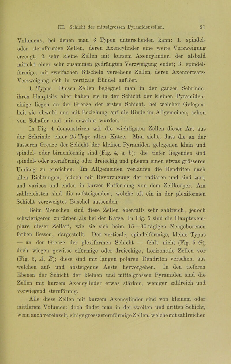 Volumens, bei denen man 3 Typen unterscheiden kann: 1. spindel- oder sternformige Zellen, deren Axencylinder eine weite Verzweigung erzeugt; 2. sehr kleine Zellen mit kurzem Axencylinder, der alsbald mittelst einer sehr zusammen gedrángten Verzweigung endet; 3. spindel- formige, mit zweifachen Büscheln versehene Zellen, deren Axenfortsatz- Verzweigung sich in verticale Bündel auflost. 1. Typus. Diesen Zellen begegnet man in der ganzen Sebrinde; ibren Hauptsitz aber baben sie in der Schicht der kleinen Pyramiden; einige liegen an der Grenze der ersten Schicht, bei welcher Gelegen- heit sie obwohl nur mit Beziehung auf die Rinde im Allgemeinen, sebón yon Schaffer nnd mir erwahnt wurden. In Fig. 4 demonstriren wir die wichtigsten Zellen dieser Art aus der Sehrinde einer 25 Tage alten Katze. Man sieht, dass die an der ausseren Grenze der Schicht der kleinen Pyramiden gelegenen klein und spindel- oder birnenformig sind (Fig. 4, a, b); die tiefer liegenden sind spindel- oder sternformig oder dreieckig xmd pflegen einen etwas grósseren Umfang zu erreichen. Im Allgemeinen verlaufen die Dendriten nach alien Richtungen, jedoch mit Bevorzugung der radiaren nnd sind zart, und varicós und enden in kurzer Entfernung yon dem Zellkorper. Am zahlreichsten sind die aufsteigenden, welche oft ein in der plexiformen Schicht verzweigtes Büschel aussenden. Beim Menschen sind diese Zellen ebenfalls sehr zahlreich, jedoch schwierigeren zu farben ais bei der Katze. In Fig. 5 sind die Hauptexem- plare dieser Zellart, wie sie sich beim 15—30 tágigen Neugeborenen farben liessen, dargestellt. Der verticale, spindelformige, kleine Typus — an der Grenze der plexiformen Schicht — fehlt nicht (Fig. 5 6r), doch wiegen gewisse eiformige oder dreiecltige, horizontale Zellen vor (Fig. 5, A, B); diese sind mit langen polaren Dendriten versehen, aus welchen auf- und absteigende Aeste hervorgehen. In den tieferen Ebenen der Schicht der kleinen und mittelgrossen Pyramiden sind die Zellen mit kurzem Axencylinder etwas starker, weniger zahlreich und vorwiegend sternformig. Alie diese Zellen mit kurzem Axencylinder sind von kleinem oder mittlerem Volumen; doch findet man in der zweiten und dritten Schicht, wenn auch vereinzelt, einige grosse sternformige Zellen, w elche mit zahlreichen