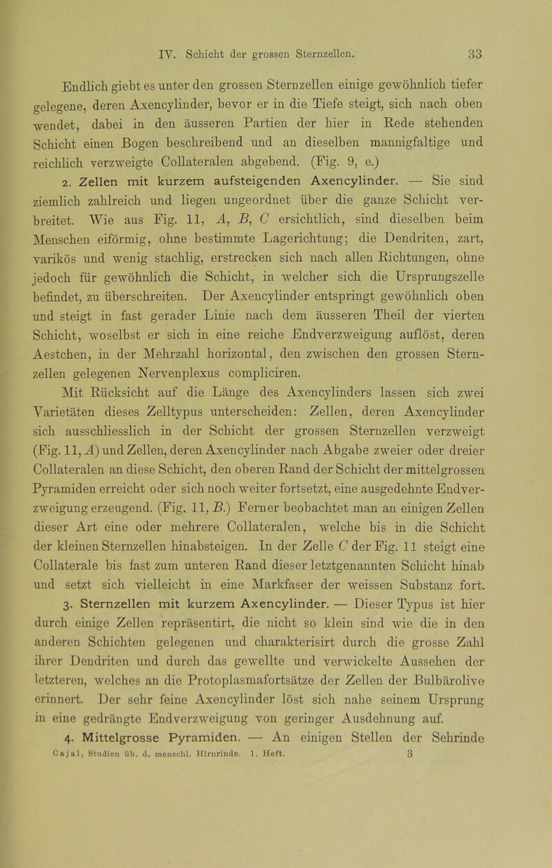 Endüch giebt es unter den grossen Sternzellen einige gewohnlich tiefer gelegene, deren Axencylinder, beyor er in die Tiefe steigt, sich nach oben wendet, dabei in den áusseren Partí en der hier in Rede stehenden Schicht einen Bogen bescbreibend und an dieselben mannigfaltige und reichlich verzweigte Collateralen abgebend. (Fig. 9, e.) 2. Zellen mit kurzem aufsteigenden Axencylinder. — Sie sind ziemlicb zablreicb und liegen ungeordnet líber die ganze Schicht ver- breitet. Wie aus Fig. 11, A, B, C ersichtlich, sind dieselben beina Menschen eiformig, ohne bestimmte Lagerichtung; die Dendriten, zart, varikos und wenig stachlig, erstrecken sich nach alien Richtungen, ohne jedoch für gewohnlich die Schicht, in welcher sich die Ursprungszelle befindet, zu iiberschreiten. Der Axencylinder entspringt gewohnlich oben und steigt in fast gerader Linie nach dem áusseren Theil der vierten Schicht, woselbst er sich in eine reiche Endverzweigung auflost, deren Aestchen, in der Mehrzahl horizontal, den zwischen den grossen Stern- zellen gelegenen Nervenplexus compliciren. Mit Rücksicht auf die Lánge des Axencylinders lassen sich zwei Varietaten dieses Zelltypus unterscheiden: Zellen, deren Axencylinder sich ausschliesslich in der Schicht der grossen Sternzellen verzweigt (Fig. 11, A) und Zellen, deren Axencylinder nach Abgabe zweier oder dreier Collateralen an diese Schicht, den oberen Rand der Schicht der mittelgrossen Pyramiden erreicht oder sich noch weiter fortsetzt, eine ausgedehnte Endver- zweigung erzeugend. (Fig. 11, B.) Ferner beobachtet man an einigen Zellen dieser Art eine oder mehrere Collateralen, welche bis in die Schicht der kleinen Sternzellen hinabsteigen. In der Zelle C der Fig. 11 steigt eine Collaterale bis fast zuna unteren Rand dieser letztgenannten Schicht hinab und setzt sich vielleicht in eine Markfaser der weissen Substanz fort. 3. Sternzellen mit kurzem Axencylinder. — Dieser Typus ist hier durch einige Zellen reprasentirt, die nicht so klein sind wie die in den anderen Schichten gelegenen und charakterisirt durch die grosse Zahl ihrer Dendriten und durch das gewellte und verwickelte Aussehen der letzteren, welches an die Protoplasmafortsiitze der Zellen der Bulbarolive erinnert. Der sehr feine Axencylinder lost sich nahe seinem Ursprung in eine gedrángte Endverzweigung von geringer Ausdehnung auf. 4. Mittelgrosse Pyramiden. — An einigen Stellen der Sehrinde Caja!, Stadien üb. d. mcuschl. Hirurinde. 1. Hoft. 3