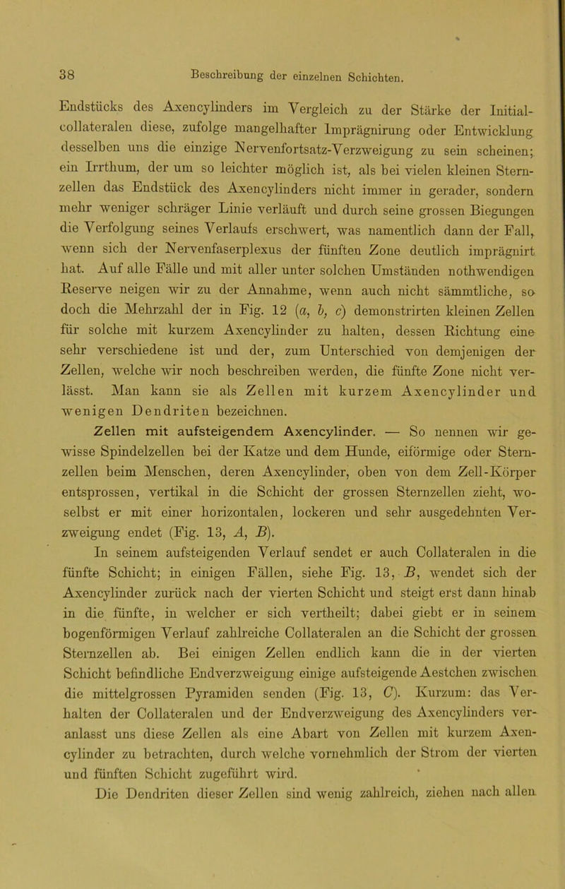 Endstücks des Axencylinders im Vergleich zu der Stiirke der Initial- collateralen diese, zufolge mangelhafter lmprágnirung oder Entwicklung desselben uns die einzige Nervenfortsatz-Yerzweigung zu sein scheinen; ein Irrthum, der um so leicbter moglicb ist, ais bei vielen kleinen Stern- zellen das Endstück des Axencylinders nicbt imraer in gerader, sondern mekr weniger scbrager Linie verlauft und durcb seine grossen Biegungen die Yerfolgung seines Verlauís erscbwert, was namentlich dann der Fall, wenn sicb der JNervenfaserplexus der fiinften Zone deutlicb impragnirt bat. Auf alie Falle und mit aller unter solcben Umstanden nothwendigen Reserve neigen wir zu der Annahme, wenn auch nicbt sammtlicbe, sa docb die Mehrzakl der in Fig. 12 (a, b, c) demonstrirten kleinen Zellen für solcbe mit kurzem Axencylinder zu Falten, dessen Richtung eine sehr verscbiedene ist und der, zum Unterschied von demjenigen der Zellen, welcbe wir nocb beschreiben werden, die fiinfte Zone nicbt ver- lasst. Man kann sie ais Zellen mit kurzem Axencylinder und wenigen Dendriten bezeicbnen. Zellen mit aufsteigendem Axencylinder. — So nennen wir ge- wisse Spindelzellen bei der Katze und dem Hunde, eiformige oder Stern- zellen beim Menscben, deren Axencylinder, oben von dem Zell-Korper entsprossen, vertikal in die Scbicbt der grossen Sternzellen ziebt, wo- selbst er mit einer borizontalen, lockeren und sebr ausgedebnten Ver- zweigung endet (Fig. 13, A, B). In seinem aufsteigenden Yerlauf sendet er aucb Collateralen in die fiinfte Scbicbt; in einigen Fallen, siebe Fig. 13, B, wendet sicb der Axencylinder zurück nacb der vierten Scbicbt und steigt erst dann binab in die fiinfte, in welcber er sicb vertbeilt; dabei giebt er in seinem bogenformigen Yerlauf zablreicbe Collateralen an die Scbicbt der grossen Sternzellen ab. Bei einigen Zellen endlicb kann die in der vierten Scbicbt befindlicbe Endverzweigung einige aufsteigende Aestcben zwiscben die mittelgrossen Pyramiden senden (Fig. 13, C). Kurzum: das Yer- balten der Collateralen und der Endverzweigung des Axencylinders ver- anlasst uns diese Zellen ais eine Abart von Zellen mit kurzem Axen- cylinder zu betracbten, durcb welcbe vornebmlicb der Strom der vierten und fiinften Scbicbt zugefiihrt wird. Die Dendriten dieser Zellen sind wonig zablreicb, zieben nacb alien