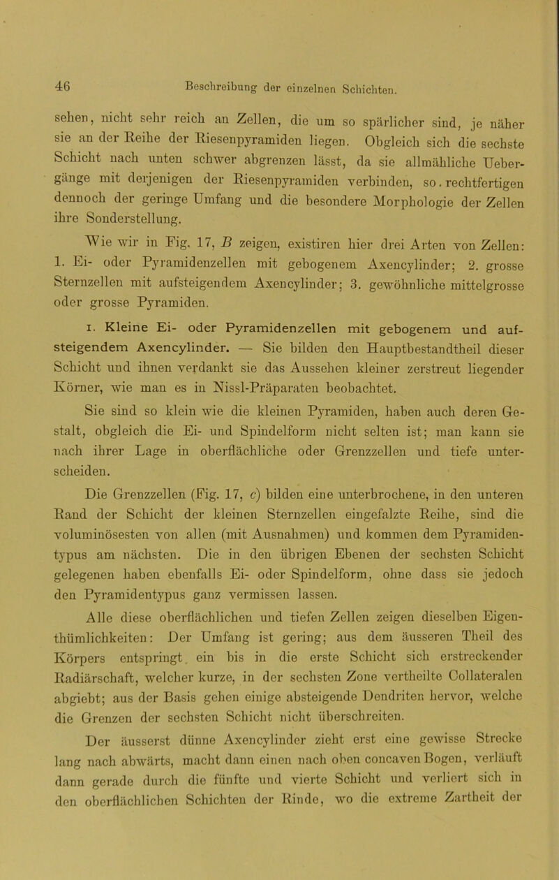sehen, nicht selir reick an Zellen, die um so spárlicher sind, je náher sie an der Reilie der Riesenpyramiden liegen. Obgleich sich die sechste Schiclit nach unten schwer abgrenzen lasst, da sie allmaklicke Ueber- gange ínit derjenigen der Riesenpyramiden verbinden, so. rechtfertigen dennoch der geringe Umfang und die besondere Morphologie der Zellen ihre Sonderstellung. Wie wir in Fig. 17, B zeigen, existiren hier drei Arten von Zellen: 1. Ei- oder Pyramidenzellen mit gebogenem Axencylinder; 2. grosse Sternzellen mit aufsteigendem Axencylinder; 3. gewohnliche mittelgrosse oder grosse Pyramiden. i. Kleine Ei- oder Pyramidenzellen mit gebogenem und auf- steigendem Axencylinder. — Sie bilden den Hauptbestandtbeil dieser Scbicbt und ibnen verdankt sie das Ausseben kleiner zerstreut liegender Korner, wie man es in Nissl-Praparaten beobacbtet. Sie sind so klein wie die kleinen Pyramiden, baben aucb deren Ge- stalt, obgleicb die Ei- und Spindelform nicbt selten ist; man kann sie nacb ibrer Lage in oberflacblicbe oder Grenzzellen und tiefe unter- scbeiden. Die Grenzzellen (Fig. 17, c) bilden eine unterbrocbene, in den unteren Rand der Scbicbt der kleinen Sternzellen eingefalzte Reibe, sind die voluminosesten von alien (mit Ausnabmen) und kommen dem Pyramiden- typus am nácbsten. Die in den übrigen Ebenen der secbsten Scbicbt gelegenen baben ebenfalls Ei- oder Spindelform, obne dass sie jedocb den Pyramidentypus ganz vermissen lassen. Alie diese oberflachlichen und tiefen Zellen zeigen dieselben Eigen- thümlicbkeiten: Der Umfang ist gering; aus dem ausseren Tbeil des Kórpers entspringt. ein bis in die erste Scbicbt sicb erstreckender Radiarschaft, welcher kurze, in der secbsten Zone vertbeilte Collateraleu abgiebt; aus der Basis gehen einige absteigende Dendriten hervor, welcbe die Grenzen der sechsten Scbicht nicbt überscbreiten. Der ilusserst dünne Axencylinder zieht erst eine gewisse Strecke lang nach abwiirts, macht dann einen nacb oben concaven Bogen, verlsiuft dann gerade durch die fünfte und vierte Schicht und verliert sicb in den oberflachlicben Schichten der Rinde, wo dio extreme Zartheit der