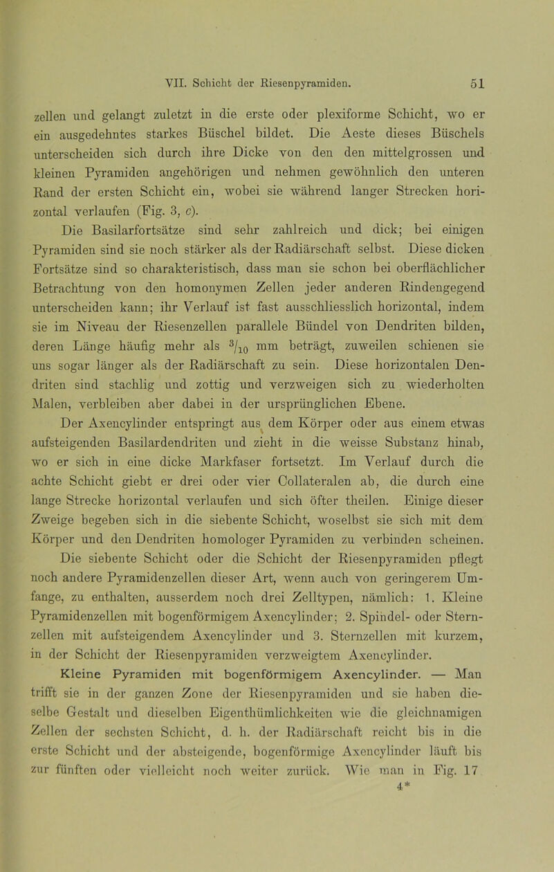 zellen und gelangt zuletzt in die erste oder plexiforme Schicht, wo er ein ausgedehntes starkes Büschel bildet. Die Aeste dieses Büschels unterscheiden sich durch ihre Dicke yon den den mittelgrossen und kleinen Pyramiden angehorigen und nehmen gewohnlich den unteren Rand der ersten Schicht ein, wobei sie wáhrend langer Strecken hori- zontal yerlaufen (Fig. 3, c). Die Basilarfortsátze sind selir zahlreich und dick; bei einigen Pyramiden sind sie noch starker ais der Radiarschaft selbst. Diese dicken Fortsátze sind so charakteristisch, dass man sie sebón bei oberfláchlicher Betrachtung von den homonymen Zellen jeder anderen Rindengegend unterscheiden kann; ihr Verlauf ist fast ausschliesslich horizontal, indem sie im Niveau der Riesenzellen parallele Bündel yon Dendriten bilden, deren Lange háufig mehr ais 3/10 mm betragt, zuweilen schienen sie uns sogar langer ais der Radiarschaft zu sein. Diese horizontalen Den- driten sind stachlig und zottig und yerzweigen sich zu wiederholten Malen, verbleiben aber dabei in der ursprünglichen Ebene. Der Axencylinder entspringt aus dem Korper oder aus einem etwas aufsteigenden Basilardendriten und zieht in die weisse Substanz hinab, wo er sich in eine dicke Markfaser fortsetzt. Im Verlauf durch die achte Schicht giebt er drei oder vier Collateralen ab, die durch eine lange Strecke horizontal yerlaufen und sich ofter theilen. Einige dieser Zweige begehen sich in die siebente Schicht, woselbst sie sich mit dem Korper und den Dendriten homologer Pyramiden zu yerbinden sclieinen. Die siebente Schicht oder die Schicht der Riesenpyramiden pflegt noch andere Pyramidenzellen dieser Art, wenn auch von geringerem Um- fange, zu enthalten, ausserdem noch drei Zelltypen, namlich: 1. Ivleine Pyramidenzellen mit hogenformigem Axencylinder; 2. Spindel- oder Stern- zellen mit aufsteigendem Axencylinder und 3. Sternzellen mit kurzem, in der Schicht der Riesenpyramiden verzweigtem Axencylinder. Kleine Pyramiden mit bogenfOrmigem Axencylinder. — Man trifft sie in der ganzen Zone der Riesenpyramiden und sie haben die- selbe Gestalt und dieselben Eigenthümlichkeiten wie die gleichnamigen Zellen der sechsten Schicht, d. h. der Radiarschaft reicht bis in die erste Schicht und der absteigende, bogenformige Axencylinder lauft bis zur fünften oder viclleicht noch weiter zuriick. Wie man iu Fig. 17 4*