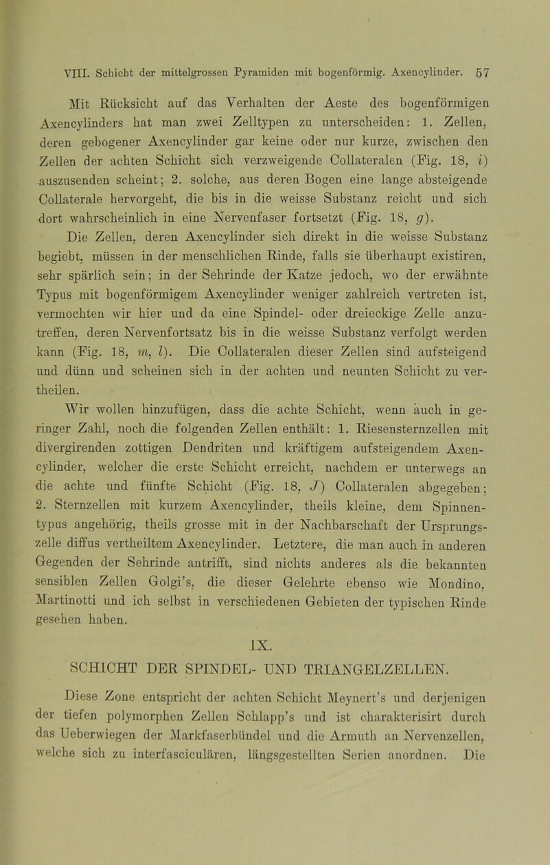 Mit Riicksicht auf das Yerkalten der Aeste des bogenformigen Axencylinders hat man zwei Zelltypen zu unterscheiden: 1. Zellen, deren gebogener Axencylinder gar keine oder nur kurze, zwischen den Zellen der achten Schicht sich verzweigende Collateralen (Fig. 18, i) auszusenden scheint; 2. solche, aus deren Bogen eine lange absteigende Collaterale hervorgeht, die bis in die weisse Substanz reicht und sich dort wahrscheinlich in eine Nervenfaser fortsetzt (Fig. 18, g). Die Zellen, deren Axencylinder sich direkt in die weisse Substanz begiebt, müssen in der menschlichen Iiinde, falls sie überhaupt existiren, sehr sparlich sein; in der Sehrinde der Katze jedoch, wo der erwahnte Typus mit bogenformigem Axencylinder weniger zahlreich yertreten ist, vermochten wir hier und da eine Spindel- oder dreieckige Zelle anzu- treffen, deren Nervenfortsatz bis in die weisse Substanz verfolgt werden kann (Fig. 18, m, l). Die Collateralen dieser Zellen sind aufsteigend und diinn und scheinen sich in der achten und neunten Schicht zu ver- theilen. Wir wollen hinzufügen, dass die achte Schicht, wenn áuch in ge- ringer Zahl, noch die folgenden Zellen enthalt: 1. Riesensternzellen mit divergirenden zottigen Dendriten und kraftigem aufsteigendem Axen- cylinder, welcher die erste Schicht erreicht, nachdem er unterwegs an die achte und fünfte Schicht (Fig. 18, J) Collateralen abgegeben; 2. Sternzellen mit kurzem Axencylinder, theils kleine, dem Spinnen- typus angehorig, theils grosse mit in der Nachbarschaft der Ursprungs- zelle diffus vertheiltem Axencylinder. Letztere, die man auch in anderen Gegenden der Sehrinde antrifft, sind nichts anderes ais die bekannten sensiblen Zellen Golgi’s, die dieser Gelehrte ebenso wie Mondino, Martinotti und ich selbst in verschiedenen Gebieten der typischen Rinde gesehen haben. IX. SCHICHT DER SPINDEL- UND TRIANGELZELLEN. Diese Zono entspricht der achten Schicht Meynert’s und derjenigen der tiefen polymorphen Zellen Schlapp’s und ist charakterisirt durch das Ueberwiegen der Markfaserbündel und die Armuth an Nervenzellen, welche sich zu interfascicularen, langsgestellten Serien anordnen. Die