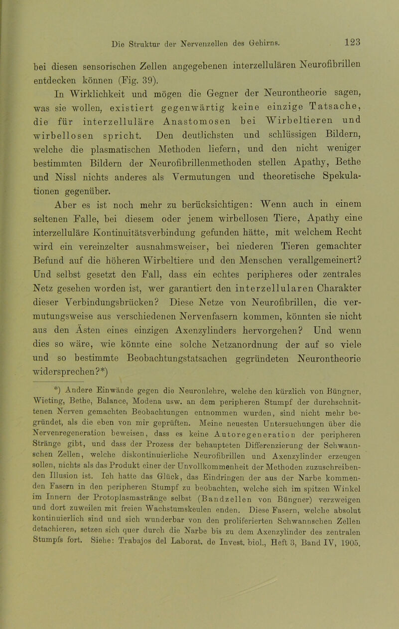bei diesen sensorischen Zellen angegebenen interzellularen Neurofibrillen entdecken kónnen (Fig. 39). In Wirklickkeit und mogen die Gegner der Neurontheorie sagen, was sie wollen, existiert gegenwártig keine einzige Tatsacbe, die für interzelluláre Anastomosen bei Wirbeltieren und wirbellosen spricht. Den deutlichsten und scblüssigen Bildern, welche die plasmatischen Metboden liefern, und den nicht weniger bestimmten Bildern der Neurofibrillenmethoden stellen Apathy, Betbe und Nissl nicbts anderes ais Vermutungen und theoretische Spekula- tionen gegenüber. Aber es ist nocb mehr zu berücksicbtigen: Wenn auch in einem seltenen Falle, bei diesem oder jenem ■wirbellosen Tiere, Apathy eine interzelluláre Kontinuitátsverbindung gefunden bátte, mit welchem Recbt wird ein vereinzelter ausnahmsweiser, bei niederen Tieren gemachter Befund auf die hokeren Wirbeltiere und den Menschen verallgemeinert? Und selbst gesetzt den Fall, dass ein ecbtes peripberes oder zentrales Netz geseben worden ist, wer garantiert den interzellularen Charakter dieser Yerbindungsbrücken? Diese Netze yon Neurofibrillen, die ver- mutungsweise aus verschiedenen Nervenfasern kommen, konnten sie nicbt aus den Ásten eines einzigen Axenzylinders hervorgehen? Und wenn dies so wáre, wie konnte eine solche Netzanordnung der auf so viele und so bestimmte Beobachtungstatsachen gegründeten Neurontheorie widersprechen?*) *) Andere Einwande gegen die Neuronlehre, welche den kürzlich von Büngner, Wieting, Bethe, Balance, Modena usw. an dem peripheren Stumpf der durchschnit- tenen Nerven gemachten Beobachtungen entnommen wurden, sind nicht mehr be- gründet, ais die eben von mir geprüften. Meine neuesten Untersuchungen über die Nervenregeneration beweisen, dass es keine Autoregeneration der peripheren Strange gibt, und dass der Prozess der behaupteten Differenzierung der Scbwann- schen Zellen, welche diskontinuierliche Neurofibrillen und Axenzylinder erzeugen sollen, nicbts ais das Produkt einer der Unvollkommenheit der Metboden zuzuschreiben- den Illusion ist. Ich hatte das Glück, das Eindringen der aus der Narbe kommen- den t asern in den peripheren Stumpf zu beobachten, welche sich im spitzen Winkel im Innern der Protoplasmastriingo selbst (Bandzollon von Büngner) verzweigen und dort zuweilen mit freien Wachstumskoulen endon. Diese Fasern, welche absolut kontinuierlich sind und sich wunderbar von don proliferierten Schwannscben Zellen dctachieren, setzen sich quer durch dio Narbe bis zu dem Axonzylindor des zentralen Stumpls fort. Siebe: Trabajos del Laborat. do Iuvest. biol., Heft 3, Band IV, 1905.