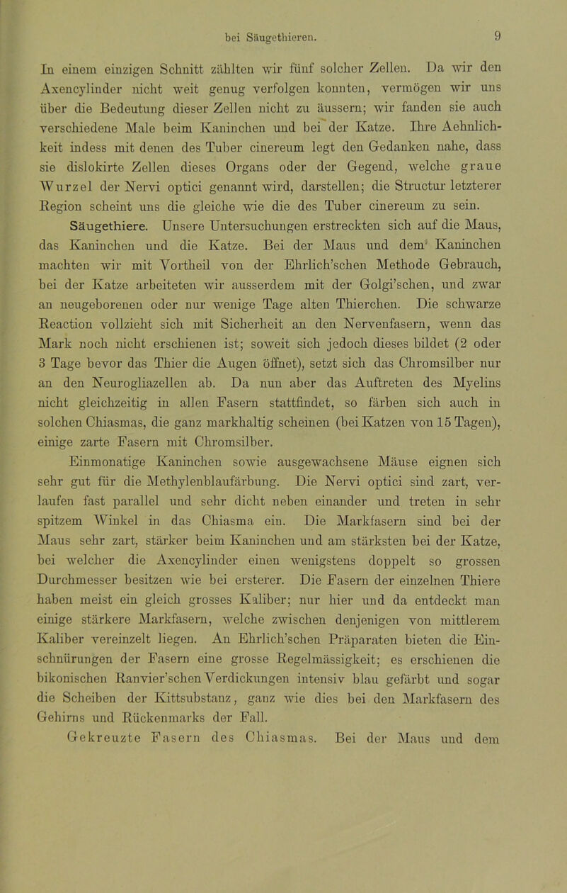 bei S&ugetliieren. In einem einzigen Scbnitt ziihlten wir fünf solcher Zellen. Da wir den Axencylinder nicht weit genug verfolgen konnten, vermogen wir uns über die Bedeutung dieser Zellen nicbt zu aussern; wir fanden sie aucli verscbiedene Male beim Kanincben und bei der Katze. Ihre Aebnlicb- keit indess mit denen des Tuber cinereum legt den Gedanken nahe, dass sie dislokirte Zellen dieses Organs oder der Gegend, welcbe graue Wurzel der Nervi optici genannt wird, darstellen; die Structur letzterer Región scheint uns die gleiche wie die des Tuber cinereum zu sein. Saugethiere. Unsere Untersuchungen erstreckten sicb auf die Maus, das Kanincken und die Katze. Bei der Maus und dem Kanincken mackten wir mit Vortkeil von der Ebrlicb’scben Metbode Gebrauck, bei der Katze arbeiteten wir ausserdem mit der Golgi’scben, und zwar an neugeborenen oder nur wenige Tage alten Tbierchen. Die scbwarze Reaction vollziebt sicb mit Sicberbeit an den Nervenfasern, wenn das Mark nocb nicbt erscbienen ist; soweit sicb jedoch dieses bildet (2 oder 3 Tage bevor das Tbier die Augen offnet), setzt sicb das Cbromsilber nur an den Neurogliazellen ab. Da nun aber das Auftreten des Myelins nicbt gleicbzeitig iu alien Fasern stattfindet, so fárben sicb aucb in solcben Cbiasmas, die ganz markbaltig scbeinen (beiKatzen vonl5Tagen), einige zarte Fasern mit Cbromsilber. Einmonatige Kanincben sowie ausgewachsene Mause eignen sicb sebr gut fiir die Metbylenblaufárbung. Die Nervi optici sind zart, ver- laufen fast parallel und sebr dicbt neben einander und treten in sebr spitzem Winkel in das Cbiasma ein. Die Markfasern sind bei der Maus sebr zart, starker beim Kanincben und am starksten bei der Katze, bei welcber die Axencylinder einen wenigstens doppelt so grossen Durcbmesser besitzen wie bei ersterer. Die Fasern der einzelnen Tbiere baben meist ein gleicb grosses lvaliber; nur bier und da entdeckt man einige starkere Markfasern, welcbe zwiscben denjenigen von mittlerem Kaliber yereinzelt liegen. An Ebrlicb’schen Práparaten bieten die Ein- scbnürungen der Fasern eine grosse Regelmassigkeit; es erscbienen die bikoniscben Ranvier’scbenYerdickungen intensiv blau gefarbt und sogar die Scbeiben der Kittsubstanz, ganz wie dies bei den Markfasern des Gehirns und Rüokenmarks der Fall. Gekreuzte Fasern des Cbiasmas. Bei der Maus und dem