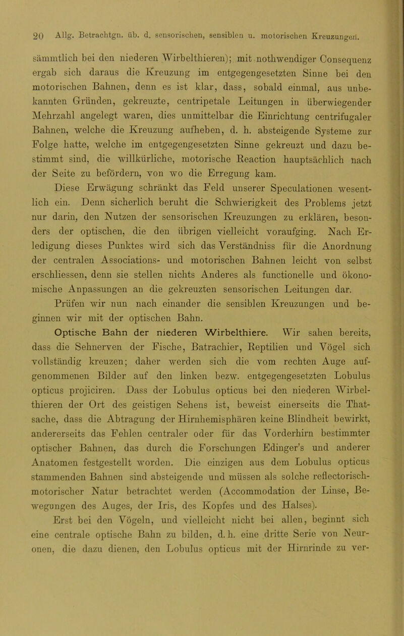 sammtlich bei den niederen Wirbelthieren); mit notbwendiger Consequenz ergab sich daraus die Ivreuzung im entgegengesetzten Sinne bei den motoriscken Babnen, denn es ist klar, dass, sobald einmal, aus unbe- kannten Gründen, gekreuzte, centripetale Leitungen in überwiegender Mehrzahl angelegt waren, dies unmittelbar die Einrichtung centrifugaler Bahnen, welche die Kreuzung aufheben, d. h. absteigende Systeme zur Folge batte, welche im entgegengesetzten Sinne gekreuzt und dazu be- stimmt sind, die willkürliche, motoriscbe Beaction bauptsáeblich nach der Seite zu befordern, yon wo die Erregung kam. Diese Erwágung schrankt das Fekl unserer Speculationen wesent- licb ein. Denn sicberlicb berubt die Scbwierigkeit des Problems jetzt nur darin, den Nutzen der sensoriscben Kreuzungen zu erklaren, beson- ders der optiscben, die den iibrigen vielleiebt voraufging. Nacb Er- ledigung dieses Punktes wird sicb das Verstándniss für die Anordnung der centralen Associations- und motoriscben Babnen leicbt von selbst erscbliessen, denn sie stellen nicbts Anderes ais ftmctionelle und okono- miscbe Anpassungen an die gekreuzten sensoriscben Leitungen dar. Príifen wir nun nacb einander die sensiblen Kreuzungen und be- ginnen wir mit der optiscben Bahn. Optische Bahn der niederen Wirbelthiere. Wir saben bereits, dass die Sebnerven der Fiscbe, Batracbier, Beptilien und Vógel sicb vollstandig kreuzen; daber werden sicb die vom recbten Auge auf- genommenen Bilder auf den linken bezw. entgegengesetzten Lobulus opticus projiciren. Dass der Lobulus opticus bei den niederen Wirbel- thieren der Ort des geistigen Sebens ist, beweist einerseits die That- sache, dass die Abtragung der Hirnbemispbaren keine Blindbeit bewirkt, andererseits das Feblen centraler oder für das Vorderbirn bestimmter optiscber Babnen, das durcb die Forschungen Edinger’s und anderer Anatomen festgestellt worden. Die einzigen aus dem Lobulus opticus stammenden Bahnen sind absteigende und müssen ais solcbe reflectoriscb- motorischer Natur betracbtet werden (Accommodation der Linse, Be- wegungen des Auges, der Iris, des Kopfes und des Halses). Erst bei den Vogeln, und vielleicht nicbt bei alien, beginnt sicb cine céntrale optische Bahn zu bilden, d. b. eine dritte Serie von Neur- onen, die dazu dienen, den Lobulus opticus mit der Hirnrinde zu ver-