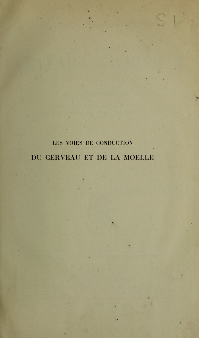 LES VOIES DE CONDUCTION DU CERVEAU ET DE LA MOELLE