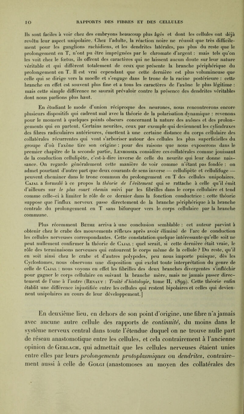 Ils sont faciles à voir chez des embryons beaucoup plus âgés et dont les cellules ont déjà revêtu leur aspect unipolaire. Chez l’adulte, la réaction noire ne réussit que très difficile- ment pour les ganglions rachidiens, et les dendrites latérales, pas plus du reste que le prolongement en T, n’ont pu être imprégnées par le chromate d’argent : mais tels qu’on les voit chez le fœtus, ils offrent des caractères qui ne laissent aucun doute sur leur nature véritable et qui diffèrent totalement de ceux que présente la branche périphérique du prolongement en T. 11 est vrai cependant que cette dernière est plus volumineuse que celle qui se dirige vers la moelle et s’engage dans le tronc de la racine postérieure : cette branche en effet est souvent plus fine et a tous les caractères de l’axone le plus légitime : mais cette simple différence ne saurait prévaloir contre la présence des dendrites véritables dont nous parlions plus haut. En étudiant le mode d’union réciproque des neurones, nous rencontrerons encore plusieurs dispositifs qui cadrent mal avec la théorie de la polarisation dynamique : revenons pour le moment à quelques points obscurs concernant la nature des axones et des prolon- gements qui en partent. Certains neurites, ceux par exemple qui deviennent les cylindraxes des fibres radiculaires antérieures, émettent à une certaine distance du corps cellulaire des collatérales récurrentes qui vont s’arboriser autour des cellules les plus superficielles du groupe d’où l’axone tire son origine : pour des raisons que nous exposerons dans le premier chapitre de la seconde partie, Lexhossek considère ces collatérales comme jouissant de la conduction cellulipète, c’est-à-dire inverse de celle du neurite qui leur donne nais- sance. On regarde généralement cette manière de voir comme n’étant pas fondée : on admet pourtant d’autre part que deux courants de sens inverse — cellulipète et cellulifuge — peuvent cheminer dans le tronc commun du prolongement en T des cellules unipolaires. Cajal a formulé à ce propos la théorie de l’évitement qui se rattache à celle qu’il émit d’ailleurs sur le plus court chemin suivi par les fibrilles dans le corps cellulaire et tend comme celle-ci à limiter le rôle de ce dernier dans la fonction conductrice : cette théorie suppose que l’influx nerveux passe directement de la branche périphérique à la branche centrale du prolongement en T sans bifurquer vers le corps cellulaire par la branche commune. Plus récemment Bethe arriva à une conclusion semblable : cet auteur parvint à obtenir chez le crabe des mouvements réflexes après avoir éliminé de l’arc de conduction les cellules nerveuses correspondantes. Cette constatation quelque intéressante qu’elle soit ne peut nullement confirmer la théorie de Cajal : quel serait, si cette dernière était vraie, le rôle des terminaisons nerveuses qui entourent le corps même de la cellule ? Du reste, qu’il en soit ainsi chez le crabe et d’autres polypodes, peu nous importe puisque, dès les Cyclostomes, nous observons une disposition qui exclut toute interprétation du genre de celle de Cajal : nous voyons en effet les fibrilles des deux branches divergentes s’infléchir pour gagner le corps cellulaire en suivant la branche mère, mais ne jamais passer direc- tement de l’une à l’autre (Renaut : Traité d’histologie, tome II, 1899). Cette théorie enfin établit une différence injustifiée entre les cellules qui restent bipolaires et celles qui devien- nent unipolaires au cours de leur développement.] En deuxième lieu, en dehors de son point d’origine, une fibre n’a jamais avec aucune autre cellule des rapports de continuité, du moins dans le système nerveux central dans toute l’étendue duquel on ne trouve nulle part de réseau anastomotique entre les cellules, et cela contrairement à l’ancienne opinion de Gerlach, qui admettait que les cellules nerveuses étaient unies entre elles par leurs prolongements protoplasmiques ou dendrites, contraire- ment aussi à celle de Golgi (anastomoses au moyen des collatérales des