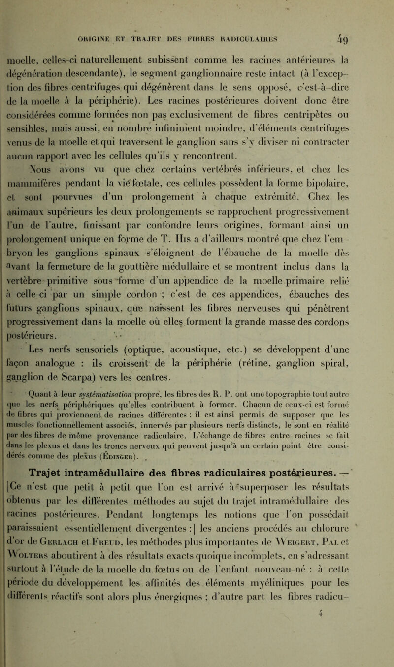 ORIGINE ET TRAJET DES FIBRES RADICULAIRES moelle, celles-ci naturellement subissent comme les racines antérieures la dégénération descendante), le segment ganglionnaire reste intact (à l’excep- tion des fibres centrifuges qui dégénèrent dans le sens opposé, c’est-à-dire de la moelle à la périphérie). Les racines postérieures doivent donc être considérées comme formées non pas exclusivement de fibres centripètes ou sensibles, mais aussi, en nombre infiniment moindre, d’éléments centrifuges venus de la moelle et qui traversent le ganglion sans s’y diviser ni contracter aucun rapport avec les cellules qu’ils y rencontrent. jNous avons vu que chez certains vertébrés inférieurs, et chez les mammifères pendant la vif?fœtale, ces cellules possèdent la forme bipolaire, et sont pourvues d’un prolongement à chaque extrémité. Chez les j animaux supérieurs les deux prolongements se rapprochent progressivement l’un de l’autre, finissant par confondre leurs origines, formant ainsi un prolongement unique en forme de T. His a d’ailleurs montré que chez l’em- bryon les ganglions spinaux s’éloignent de l’ébaucbe de la moelle dès avant la fermeture de la gouttière médullaire et se montrent inclus dans la vertèbre primitive sous forme d’un appendice de la moelle primaire relié à celle-ci par un simple cordon ; c’est de ces appendices, ébauches des futurs ganglions spinaux, que naissent les fibres nerveuses qui pénètrent progressivement dans la moelle où elles forment la grande masse des cordons postérieurs. Les nerfs sensoriels (optique, acoustique, etc.) se développent d’une façon analogue : ils croissent de la périphérie (rétine, ganglion spiral, ganglion de Scarpa) vers les centres. Quant à leur systématisation propre, les libres des Ii. P. ont une topographie tout autre (pic les nerfs périphériques qu’elles contribuent à former. Chacun de ceux-ci est formé de fibres qui proviennent de racines différentes : il est ainsi permis de supposer que les muscles fonctionnellement associés, innervés par plusieurs nerfs distincts, le sont en réalité par des fibres de même provenance radiculaire. L’échange de fibres entre racines se fait dans les plexus et dans les troncs nerveux qui peuvent jusqu’à un certain point être consi- dérés comme des plexus (Édixgeu). Trajet intramédullaire des fibres radiculaires postérieures.— [Ce n’est que petit à petit que l’on est arrivé à'superposer les résultats obtenus par les différentes méthodes au sujet du trajet intramédullaire des racines postérieures. Pendant longtemps les notions que l’on possédait paraissaient essentiellement divergentes :J les anciens procédés au chlorure d’or de Gerlach et Freud, les méthodes plus importantes de Weigert, Pal et ! Wolters aboutirent à dès résultats exacts quoique incomplets, en s’adressant | surtout à l’étude de la moelle du fœtus ou de l’enfant nouveau-né : à cette période du développement les affinités des éléments myéliniques pour les différents réactifs sont alors plus énergiques ; d’autre part les fibres radiai