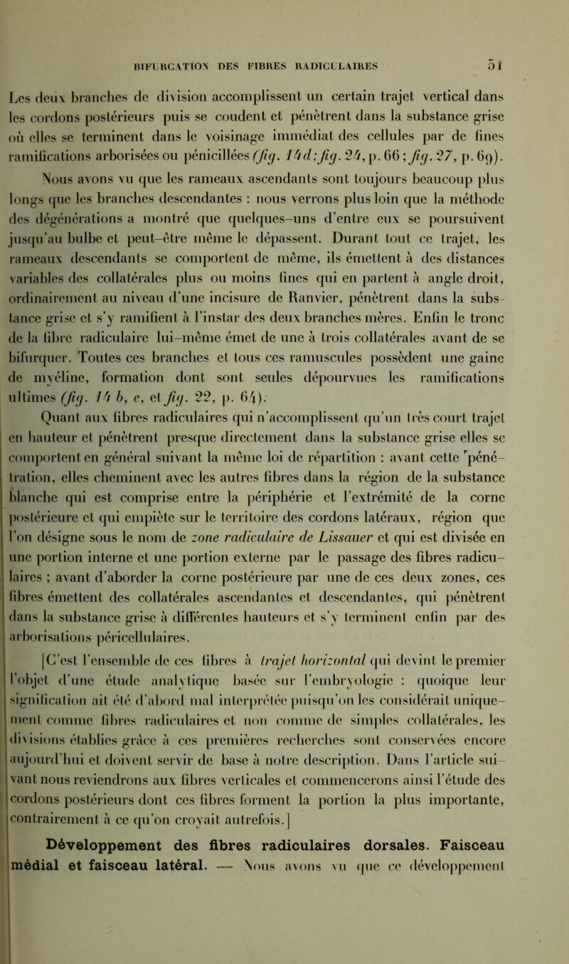 BIFURCATION DES FIBRES RADICULAIRES oi Les deux branches de division accomplissent un certain trajet vertical dans les cordons postérieurs puis se coudent et pénètrent dans la substance grise où elles se terminent dans le voisinage immédiat des cellules par de fines ramifications arborisées ou pénicillées (fig. 14d: fig. 24, p. 66 ; fig. 27, p. 69). Nous avons vu que les rameaux ascendants sont toujours beaucoup plus longs cpie les branches descendantes : nous verrons plus loin que la méthode des dégénérations a montré que quelques-uns d’entre eux se poursuivent jusqu’au bulbe et peut-être même le dépassent. Durant tout ce trajet, les rameaux descendants se comportent de même, ils émettent à des distances variables des collatérales plus ou moins fines qui en partent à angle droit, ordinairement au niveau d’une incisure de Ranvier, pénètrent dans la subs- tance grise et s’y ramifient à l’instar des deux branches mères. Enfin le tronc de la libre radiculaire lui-même émet de une à trois collatérales avant de se bifurquer. Toutes ces branches et tous ces minuscules possèdent une gaine de myéline, formation dont sont seules dépourvues les ramifications ultimes (fig. 14 b, e, et fig. 22, p. 64). Quant aux fibres radiculaires qui n’accomplissent qu’un très court trajet en hauteur et pénètrent presque directement dans la substance grise elles sc comportent en général suivant la même loi de répartition : avant cette 'péné- tration, elles cheminent avec les autres fibres dans la région de la substance blanche qui est comprise entre la périphérie et l’extrémité de la corne j postérieure et qui empiète sur le territoire des cordons latéraux, région que l’on désigne sous le nom de zone radiculaire de Lissauer et qui est divisée en une portion interne et une portion externe par le passage des fibres radicu- 1 laires ; avant d’aborder la corne postérieure par une de ces deux zones, ces J fibres émettent des collatérales ascendantes et descendantes, qui pénètrent | dans la substance grise a différentes hauteurs et s’y terminent enfin par des arborisations péricellulaires. [C’est l’ensemble de ces fibres à trajet horizontal qui devint le premier l’objet d’une étude analytique basée sur l’embryologie : quoique leur i signification ail été d’abord mal interprétée puisqu’on les considérait unique- ment comme fibres radiculaires et non comme de simples collatérales, les divisions établies grâce à ces premières recherches sont conservées encore aujourd’hui et doivent servir de base à notre description. Dans l’article sui- vant nous reviendrons aux fibres verticales et commencerons ainsi l’étude des cordons postérieurs dont ces fibres forment la portion la plus importante, I contrairement à ce qu’on croyait autrefois.] Développement des fibres radiculaires dorsales. Faisceau médial et faisceau latéral. — Nous avons vu que ce développement