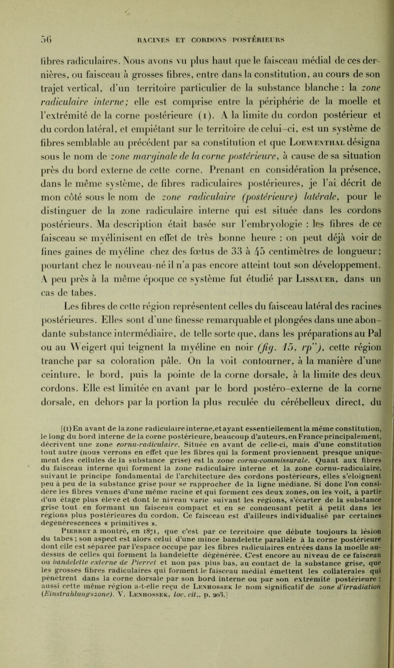 libres radiculaires. Nous avons vu plus haut que le faisceau médial de ces der- nières, ou faisceau à grosses fibres, entre dans la constitution, au cours de son trajet vertical, d’un territoire particulier de la substance blanche : la zone radiculaire inteime; elle est comprise entre la périphérie de la moelle et l’extrémité de la corne postérieure (i). A la limite du cordon postérieur et du cordon latéral, et empiétant sur le territoire de celui-ci, est un système de fibres semblable au précédent par sa constitution et que Loewenthal désigna sous le nom de zone marginale de la corne postérieure, à cause de sa situation près du bord externe de cette corne. Prenant en considération la présence, dans le meme système, de fibres radiculaires postérieures, je l’ai décrit de mon côté sous le nom de zone radiculaire (postérieure) latérale, pour le distinguer de la zone radiculaire interne qui est située dans les cordons postérieurs. Ma description était basée sur l’embryologie : les fibres de ce faisceau se myélinisent en effet de très bonne heure : on peut déjà voir de fines gaines de myéline chez des fœtus de 33 à 43 centimètres de longueur; pourtant chez le nouveau-né il n’a pas encore atteint tout son développement. A peu près à la même époque ce système fut étudié par Lissauer, dans un cas de tabes. Les fibres de cette région représentent celles du faisceau latéral des racines postérieures. Elles sont d’une finesse remarquable et plongées dans une abon- dante substance intermédiaire, de telle sorte que, dans les préparations au Pal ou au Weigert qui teignent la myéline en noir (fig. 15, rp”), cette région tranche par sa coloration pâle. On la voit contourner, à la manière d’une ceinture, le bord, puis la pointe de la corne dorsale, à la limite des deux cordons. Elle est limitée en avant par le bord postéro-externe de la corne dorsale, en dehors par la portion la plus reculée du cérébelleux direct, du [(i)En avant de la zone radiculaire interne,et ayant essentiellement la même constitution, le long du bord interne de la corne postérieure, beaucoup d’auteurs, en France principalement , décrivent une zone eornu-radiculaire. Située en avant de celle-ci, mais d’une constitution tout autre (nous verrons en effet que les libres qui la forment proviennent presque unique- ment des cellules de la substance grise) est la zone cornu-commissurale. Quant aux fibres du faisceau interne qui forment la zone radiculaire interne et la zone cornu-radiculaire. suivant le principe fondamental de l’architecture des cordons postérieurs, elles s’éloignent peu à peu de la substance grise pour se rapprocher de la ligne médiane. Si donc l’on consi- dère les fibres venues d’une même racine et qui forment ces deux zones, on les voit, à partir d’un étage plus élevé et dont le niveau varie suivant les régions, s’écarter de la substance grise tout en formant un faisceau compact et en se condensant petit à petit dans les régions plus postérieures du cordon. Ce faisceau est d’ailleurs individualisé par certaines dégénérescences « primitives ». Pierhet a montré, en 1871, que c’est par ce territoire que débute toujours la lésion du tabes ; son aspect est alors celui d’une mince bandelette parallèle à la corne postérieure dont elle est séparée par l’espace occupé par les fibres radiculaires entrées dans la moelle au- dessus de celles qui forment la bandelette dégénérée. C’est encore au niveau de ce faisceau ou bandelette externe de Pierret et non pas plus bas, au contact de la substance grise, que les grosses fibres radiculaires qui forment le faisceau médial émettent les collatérales qui pénètrent dans la corne dorsale par son bord interne ou par son extrémité postérieure ; aussi cette même région a-t-elle reçu de Lenhossek le nom significatif de zone d’irradiation (Einstrahlunpszone). V. Lenhossek. loc. cit.. p. aoS.]