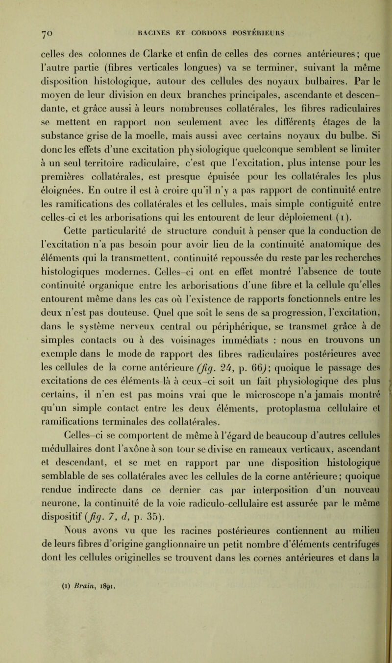 7° celles des colonnes de Clarke et enfin de celles des cornes antérieures ; que l’autre partie (fibres verticales longues) va se terminer, suivant la même disposition histologique, autour des cellules des noyaux bulbaires. Par le moyen de leur division en deux branches principales, ascendante et descen- dante, et grâce aussi à leurs nombreuses collatérales, les fibres radiculaires se mettent en rapport non seulement avec les différents étages de la substance grise de la moelle, mais aussi avec certains noyaux du bulbe. Si donc les effets d’une excitation physiologique quelconque semblent se limiter à un seul territoire radiculaire, c’est que l’excitation, plus intense pour les premières collatérales, est presque épuisée pour les collatérales les plus éloignées. En outre il est à croire qu’il n’y a pas rapport de continuité entre les ramifications des collatérales et les cellules, mais simple contiguïté entre celles-ci et les arborisations qui les entourent de leur déploiement (i). Cette particularité de structure conduit à penser que la conduction de l’excitation n’a pas besoin pour avoir lieu de la continuité anatomique des éléments qui la transmettent, continuité repoussée du reste par les recherches histologiques modernes. Celles-ci ont en effet montré l’absence de toute continuité organique entre les arborisations d’une fibre et la cellule qu’elles entourent même dans les cas où l’existence de rapports fonctionnels entre les j deux n’est pas douteuse. Quel que soit le sens de sa progression, l’excitation, dans le système nerveux central ou périphérique, se transmet grâce à de simples contacts ou à des voisinages immédiats : nous en trouvons un exemple dans le mode de rapport des fibres radiculaires postérieures avec les cellules de la corne antérieure (Jig. 24, p. 66,); quoique le passage des excitations de ces éléments-là à ceux-ci soit un fait physiologique des plus j certains, il n’en est pas moins vrai que le microscope n’a jamais montré : qu’un simple contact entre les deux éléments, protoplasma cellulaire et ramifications terminales des collatérales. Celles-ci se comportent de même à l’égard de beaucoup d’autres cellules médullaires dont l’axone à son tour se divise en rameaux verticaux, ascendant et descendant, et se met en rapport par une disposition histologique semblable de ses collatérales avec les cellules de la corne antérieure ; quoique rendue indirecte dans ce dernier cas par interposition d’un nouveau neurone, la continuité de la voie radiculo-cellulaire est assurée par le même dispositif (Jig. 7, d, p. 35). Nous avons vu que les racines postérieures contiennent au milieu de leurs fibres d’origine ganglionnaire un petit nombre d’éléments centrifuges dont les cellules originelles se trouvent dans les cornes antérieures et dans la (i) Brain, 1891.
