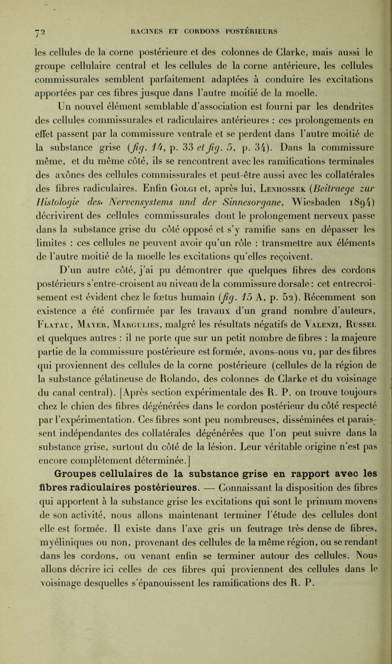 les cellules de la corne postérieure et des colonnes de Clarke, mais aussi le groupe cellulaire central et les cellules de la corne antérieure, les cellules commissurales semblent parfaitement adaptées à conduire les excitations apportées par ces fibres jusque dans l’autre moitié de la moelle. Un nouvel élément semblable d’association est fourni par les dendrites des cellules commissurales et radiculaires antérieures : ces prolongements en effet passent par la commissure ventrale et se perdent dans l’autre moitié de la substance grise (Jig. là, p. 33 et fig. 5, p. 34). Dans la commissure même, et du même côté, ils se rencontrent avec les ramifications terminales des axones des cellules commissurales et peut-être aussi avec les collatérales des fibres radiculaires. Enfin Golgi et, après lui, Lenhossek (Beitraege zur Histologie des• Nervensystems und der Sinnesorgane, Wiesbaden i8q4) décrivirent des cellules commissurales dont le prolongement nerveux passe dans la substance grise du côté opposé et s’y ramifie sans en dépasser les limites : ces cellules ne peuvent avoir qu’un rôle : transmettre aux éléments de l’autre moitié de la moelle les excitations qu’elles reçoivent. D’un autre côté, j’ai pu démontrer que quelques fibres des cordons postérieurs s’entre-croisent au niveau de la commissure dorsale : cet entrecroi- sement est évident chez le fœtus humain (fig. 15 A, p. 52). Récemment son existence a été confirmée par les travaux d’un grand nombre d’auteurs, Flatau, Mayer, Margulies, malgré les résultats négatifs de Yalenzi, Russel et quelques autres : il ne porte que sur un petit nombre de fibres : la majeure partie de la commissure postérieure est formée, avons-nous vu, par des fibres qui proviennent des cellules de la corne postérieure (cellules de la région de la substance gélatineuse de Rolando, des colonnes de Clarke et du voisinage du canal central). [Après section expérimentale des R. P. on trouve toujours chez le chien des fibres dégénérées dans le cordon postérieur du côté respecté par l’expérimentation. Ces fibres sont peu nombreuses, disséminées et parais- sent indépendantes des collatérales dégénérées que l’on peut suivre dans la substance grise, surtout du côté de la lésion. Leur véritable origine n’est pas encore complètement déterminée.] Groupes cellulaires de la substance grise en rapport avec les fibres radiculaires postérieures. — Connaissant la disposition des fibres qui apportent à la substance grise les excitations qui sont le primum movens de son activité, nous allons maintenant terminer l’étude des cellules dont elle est formée. Il existe dans l’axe gris un feutrage très dense de fibres, myéliniques ou non, provenant des cellules de la même région, ou se rendant dans les cordons, ou venant enfin se terminer autour des cellules. Nous allons décrire ici celles de ces fibres qui proviennent des cellules dans le voisinage desquelles s’épanouissent les ramifications des R. P.
