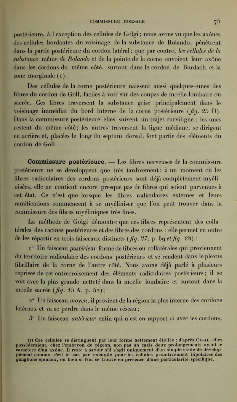 COMMISSURE DORSALE postérieure, à l’exception des cellules de Golgi; nous avons vu que les axones des cellules bordantes du voisinage de la substance de Rolando, pénètrent dans la partie postérieure du cordon latéral; que par contre, les cellules de la substance meme de Rolando et de la pointe de la corne envoient leur axone dans les cordons du même côté, surtout dans le cordon de Burdach et la zone marginale (i). Des cellules de la corne postérieure naissent aussi quelques-unes des libres du cordon de Goll, faciles à voir sur des coupes de moelle lombaire ou sacrée. Ces fibres traversent la substance grise principalement dans le voisinage immédiat du bord interne de la corne postérieure (fig. 25 D). Dans la commissure postérieure elles suivent un trajet curviligne : les unes restent du même côté; les autres traversent la ligne médiane, se dirigent en arrière et, placées le long du septum dorsal, font partie des éléments du cordon de Goll. Commissure postérieure. — Les fibres nerveuses de la commissure postérieure ne se développent que très tardivement: à un moment où les fibres radiculaires des cordons postérieurs sont déjà complètement myéli- nisées, elle ne contient encore presque pas de fibres qui soient parvenues à cet état. Ce n’est que lorsque les fibres radiculaires externes et leurs ramifications commencent à se myéliniser que l’on peut trouver dans la commissure des fibres myéliniques très fines. La méthode de Golgi démontre que ces fibres représentent des colla- térales des racines postérieures et des fibres des cordons : elle permet en outre de les répartir en trois faisceaux distincts (Jig. 27, p. 69 etJig. 28) : i° Un faisceau postérieur formé de fibres ou collatérales qui proviennent du territoire radiculaire des cordons postérieurs et se rendent dans le plexus fibrillaire de la corne de l’autre côté. Nous avons déjà parlé à plusieurs reprises de cet entrecroisement des éléments radiculaires postérieurs ; il se voit avec la plus grande netteté dans la moelle lombaire et surtout dans la moelle sacrée (Jig. i5 A, p. 52); 2° Un faisceau moyen, il provient de la région la plus interne des cordons latéraux et va se perdre dans le même réseau ; 3° Un faisceau antérieur enfin qui n’est en rapport ni avec les cordons, (1) Ces cellules se distinguent par leur forme nettement étoilée : d’après Cajal, elles posséderaient, chez l’embryon de pigeon, non pas un mais deux prolongements ayant le caractère d’un axone. Il reste à savoir s’il s’agit uniquement d’un simple stade de dévelop- pement comme c’est le cas par exemple pour les cellules primitivement bipolaires des ganglions spinaux, ou bien si l’on se trouve en présence d’une particularité spécifique.