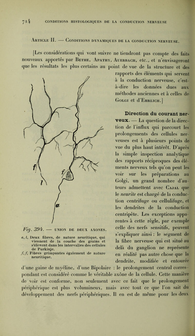 Article IL — Conditions dynamiques de la conduction nerveuse. [Les considérations qui vont suivre ne tiendront pas compte des faits nouveaux apportés par Bethe, Apathy, Auerbach, etc., et n’envisageront que les résultats les plus certains au point de vue de la structure et des rapports des éléments qui servent à la conduction nerveuse, c’est- à-dire les données dues aux méthodes anciennes et à celles de Golgi et d’EiiRLicH.1 Direction du courant ner- veux. — La question de la direc- tion de l’influx qui parcourt les prolongements des cellules ner- veuses est à plusieurs points de vue du plus haut intérêt. D’après la simple inspection analytique des rapports réciproques des élé- ments nerveux tels qu’on peut les voir sur les préparations au Golgi, un grand nombre d’au- teurs admettent avec Cajal que le neurite est chargé de la conduc- tion centrifuge ou cellulifuge, et les dendrites de la conduction centripète. Les exceptions appa- rentes à cette règle, par exemple celle des nerfs sensitifs, peuvent s’expliquer ainsi : le segment de la libre nerveuse qui est situé au delà du ganglion ne représente en réalité pas autre chose que la dendrite, modifiée et entourée d’une gaine de myéline, d’une Bipolaire : le prolongement central corres- pondant est considéré comme le véritable axone de la cellule. Cette manière de voir est conforme, non seulement avec ce fait que le prolongement périphérique est plus volumineux, mais avec tout ce que l’on sait du développement des nerfs périphériques. Il en est de même pour les deux Fig. 394. — union de deux axones. a, Z, Deux fibres, de nature neuritique, qui viennent de la couche des grains et s’élèvent dans les intervalles des cellules de Purkinje. f,f, Fibres grimpantes également de nature neuritique.