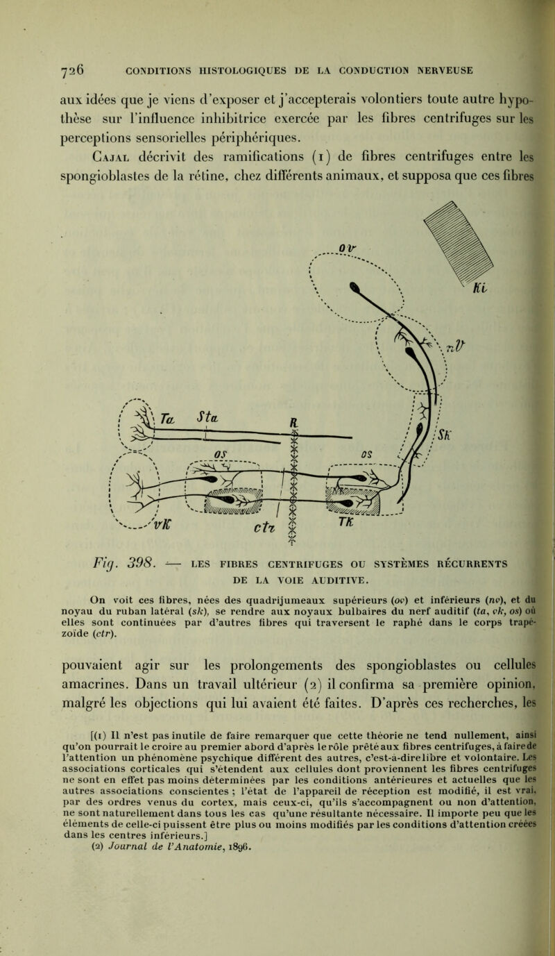 aux idées que je viens d’exposer et j’accepterais volontiers toute autre hypo- thèse sur l’influence inhibitrice exercée par les fibres centrifuges sur les perceptions sensorielles périphériques. Cajal décrivit des ramifications (1) de fibres centrifuges entre les spongioblastes de la rétine, chez differents animaux, et supposa que ces fibres Fig. 398. -— les fibres centrifuges ou systèmes récurrents DE LA VOIE AUDITIVE. On voit ces fibres, nées des quadrijumeaux supérieurs (op) et inférieurs (ne), et du noyau du ruban latéral (sk), se rendre aux noyaux bulbaires du nerf auditif (ta, vit, os) où elles sont continuées par d’autres fibres qui traversent le raphé dans le corps trapé- zoïde (ctr). pouvaient agir sur les prolongements des spongioblastes ou cellules amacrines. Dans un travail ultérieur (2) il confirma sa première opinion, malgré les objections qui lui avaient été faites. D’après ces recherches, les f(i) Il n’est pas inutile de faire remarquer que cette théorie ne tend nullement, ainsi qu’on pourrait le croire au premier abord d'après le rôle prêté aux fibres centrifuges, à faire de l’attention un phénomène psychique différent des autres, c’est-a-dire libre et volontaire. Les associations corticales qui s’étendent aux cellules dont proviennent les fibres centrifuges ne sont en effet pas moins déterminées par les conditions antérieures et actuelles que les autres associations conscientes ; l’état de l’appareil de réception est modifié, ii est vrai, par des ordres venus du cortex, mais ceux-ci, qu’ils s’accompagnent ou non d’attention, ne sont naturellement dans tous les cas qu’une résultante nécessaire. Il importe peu que les éléments de celle-ci puissent être plus ou moins modifiés par les conditions d’attention créées dans les centres inférieurs.] (2) Journal de VAnatomie, 1896.