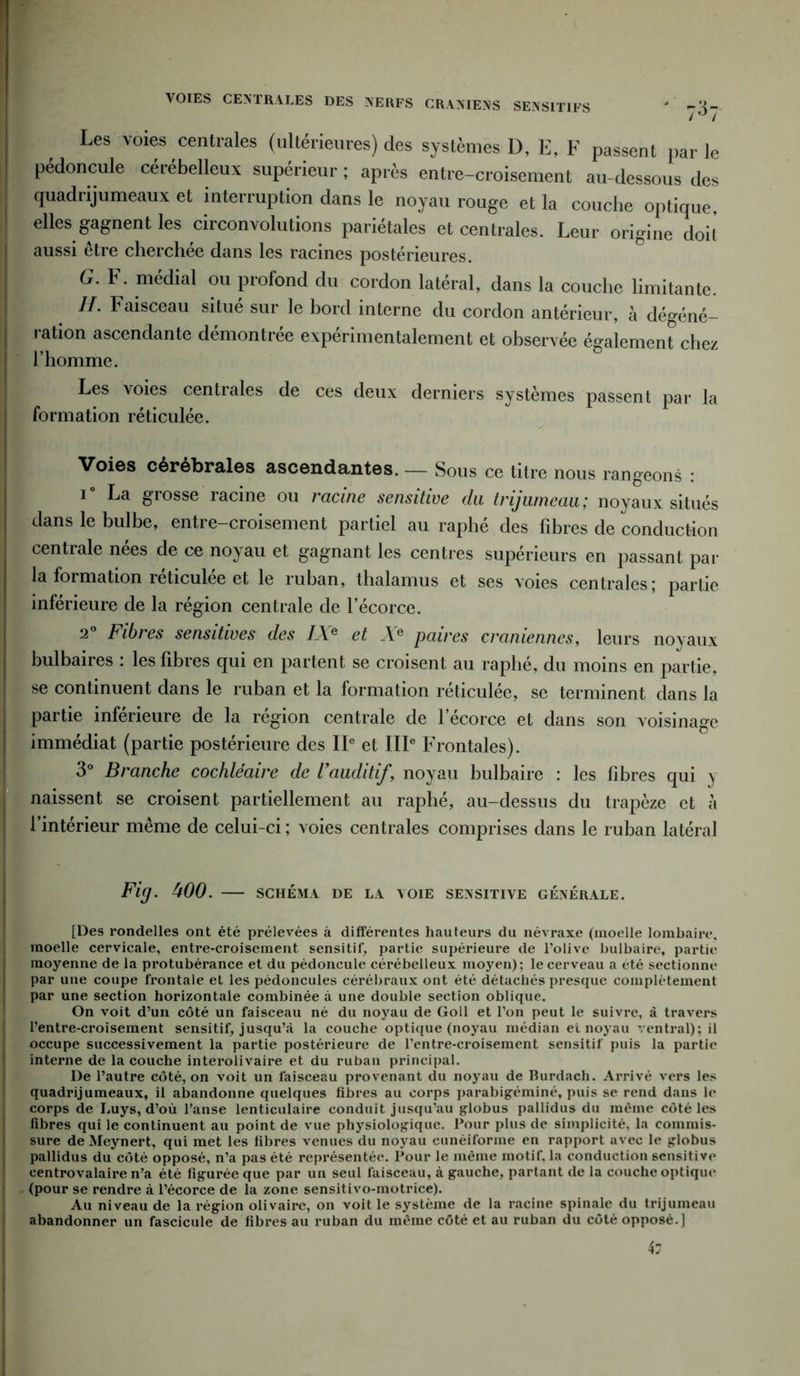 VOIES CENTRALES DES NERFS CRANIENS SENSITIFS ' -2- J Les voies centrales (ultérieures) des systèmes D, E, F passent par le pédoncule cérébelleux supérieur ; après entre-croisement au-dessous des quadrijumeaux et interruption dans le noyau rouge et la couche optique, elles gagnent les circonvolutions pariétales et centrales. Leur origine doit aussi être cherchée dans les racines postérieures. G. F. médial ou profond du cordon latéral, dans la couche limitante. IL Faisceau situé sur le bord interne du cordon antérieur, à dé^éné- ration ascendante démontrée expérimentalement et observée également; chez l’homme. Les voies centrales de ces deux derniers systèmes passent par la formation réticulée. Voies cérébrales ascendantes. — Sous ce titre nous rangeons : i° La grosse racine ou racine sensitive du trijumeau; noyaux situés dans le bulbe, entre-croisement partiel au raphé des fibres de conduction centrale nées de ce noyau et gagnant les centres supérieurs en passant par la formation reticulee et le ruban, thalamus et ses voies centrales| partie inférieure de la région centrale de l’écorce. 2° Fibres sensitives des IXe et Xe paires crâniennes, leurs noyaux bulbaires : les fibres qui en partent se croisent au raphé, du moins en partie, se continuent dans le ruban et la formation réticulée, se terminent dans la partie inférieure de la région centrale de l’écorce et dans son voisinage immédiat (partie postérieure des IIe et IIIe Frontales). 3° Branche cochléaire de l’auditif, noyau bulbaire : les fibres qui \ naissent se croisent partiellement au raphé, au-dessus du trapèze et à l’intérieur même de celui-ci ; voies centrales comprises dans le ruban latéral Fig. bOO. SCHÉMA DE LA VOIE SENSITIVE GÉNÉRALE. [Des rondelles ont été prélevées à différentes hauteurs du névraxe (moelle lombaire, moelle cervicale, entre-croisement sensitif, partie supérieure de l’olive bulbaire, partie moyenne de la protubérance et du pédoncule cérébelleux moyen); le cerveau a été sectionne par une coupe frontale et les pédoncules cérébraux ont été détachés presque complètement par une section horizontale combinée à une double section oblique. On voit d’un côté un faisceau né du noyau de Goll et l’on peut le suivre, à travers l’entre-croisement sensitif, jusqu’à la couche optique (noyau médian et noyau ventral); il occupe successivement la partie postérieure de l’entre-croisement sensitif puis la partie interne de la couche interolivaire et du ruban principal. De l’autre côté, on voit un faisceau provenant du noyau de Burdach. Arrivé vers les quadrijumeaux, il abandonne quelques fibres au corps parabigéminé, puis se rend dans le corps de Luys, d’où l’anse lenticulaire conduit jusqu’au globus pallidus du même côté les fibres qui le continuent au point de vue physiologique. Pour plus de simplicité, la commis- sure de Meynert, qui met les fibres venues du noyau cunéiforme en rapport avec le globus pallidus du côté opposé, n’a pas été représentée. Pour le même motif, la conduction sensitive centrovalaire n’a été figurée que par un seul faisceau, à gauche, partant de la couche optique (pour se rendre à l’écorce de la zone sensitivo-motrice). Au niveau de la région olivaire, on voit le système de la racine spinale du trijumeau abandonner un fascicule de fibres au ruban du même côté et au ruban du côté opposé.]