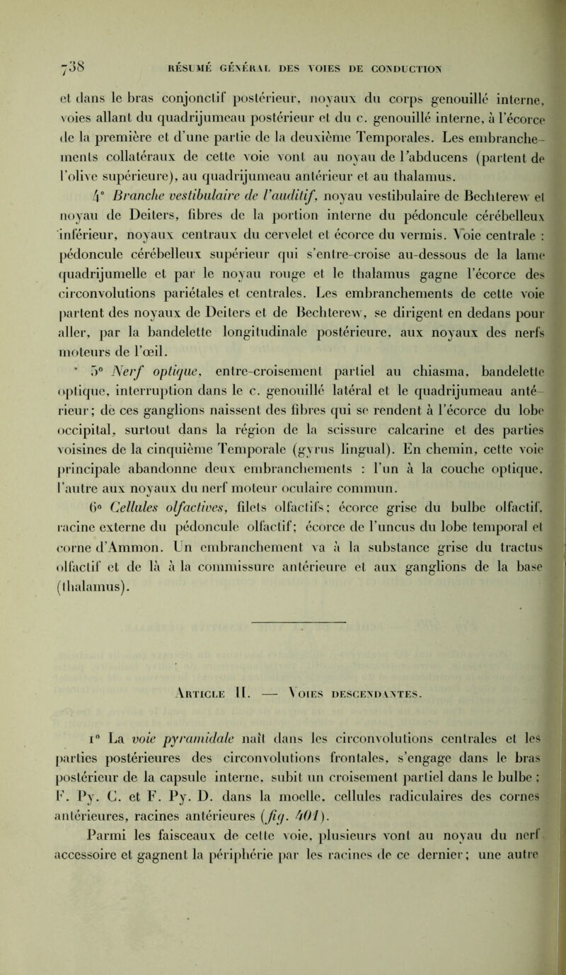 et dans le bras conjonctif postérieur, noyaux du corps genouillé interne, voies allant du quadrijumeau postérieur et du c. genouillé interne, à l’écorce île la première et d’une partie de la deuxième Temporales. Les embranche- ments collatéraux de cette voie vont au noyau de Tabducens (partent de l’olive supérieure), au quadrijumeau antérieur et au thalamus. 4° Branche vestihulaire de l’auditif, noyau vestibulaire de Bechterew el noyau de Deiters, fibres de la portion interne du pédoncule cérébelleux inférieur, noyaux centraux du cervelet et écorce du vermis. Yoie centrale : pédoncule cérébelleux supérieur qui s’entre-croise au-dessous de la lame quadrijumelle et par le noyau rouge et le thalamus gagne l’écorce des circonvolutions pariétales et centrales. Les embranchements de cette voie partent des noyaux de Deiters et de Bechterew, se dirigent en dedans pour aller, par la bandelette longitudinale postérieure, aux noyaux des nerfs moteurs de l’œil. • 5° Nerf optique, entre-croisement partiel au chiasma, bandelette optique, interruption dans le c. genouillé latéral et le quadrijumeau anté- rieur ; de ces ganglions naissent des fibres qui se rendent à l’écorce du lobe occipital, surtout dans la région de la scissure calcarine et des parties voisines de la cinquième Temporale (gyrus lingual). En chemin, cette voie principale abandonne deux embranchements : l’un à la couche optique, l’autre aux noyaux du nerf moteur oculaire commun. 6° Cellules olfactives, filets olfactifs; écorce grise du bulbe olfactif, racine externe du pédoncule olfactif ; écorce de luncus du lobe temporal et corne d’Ammon. Un embranchement va à la substance grise du tractus olfactif et de là à la commissure antérieure et aux ganglions de la base (thalamus). Article IL — \ oies descendantes. i° La voie pyramidale naît dans les circonvolutions centrales et les parties postérieures des circonvolutions frontales, s’engage dans le bras postérieur de la capsule interne, subit un croisement partiel dans le bulbe ; F. Py. C. et F. Py. D. dans la moelle, cellules radiculaires des cornes antérieures, racines antérieures (Jig. kOl). Parmi les faisceaux de cette voie, plusieurs vont au noyau du nerf accessoire et gagnent la périphérie par les racines de ce dernier; une autre
