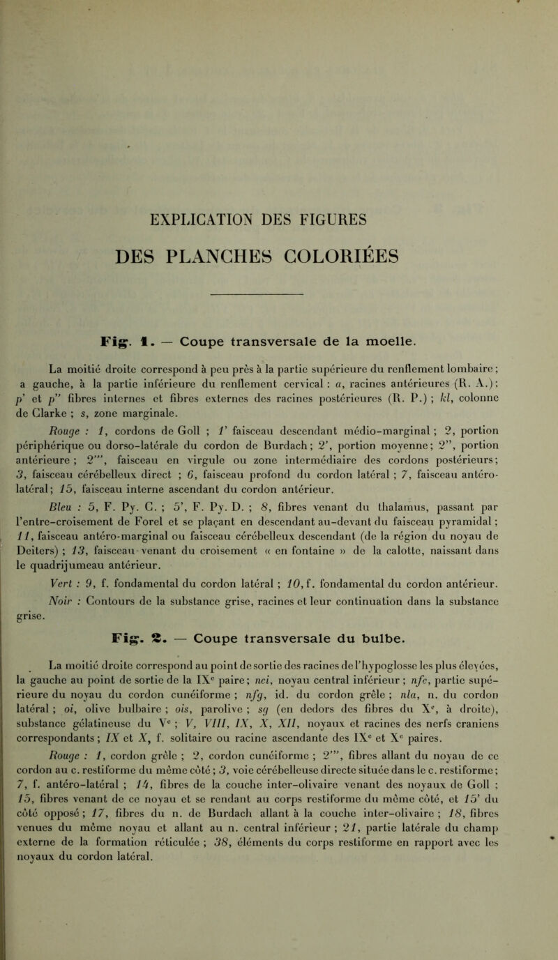 EXPLICATION DES FIGURES DES PLANCHES COLORIÉES Fig. fl. — Coupe transversale de la moelle. La moitié droite correspond k peu près à la partie supérieure du renflement lombaire ; a gauche, k la partie inférieure du renflement cervical : a, racines antérieures (R. A.); p’ et p” fibres internes et fibres externes des racines postérieures (R. P.) ; kl, colonne de Clarke ; s, zone marginale. Rouge : 1, cordons de Goll ; V faisceau descendant médio-marginal ; 2, portion périphérique ou dorso-latérale du cordon de Burdach ; 2’, portion moyenne; 2”, portion antérieure; 2”’, faisceau en virgule ou zone intermédiaire des cordons postérieurs; 3, faisceau cérébelleux direct ; 6, faisceau profond du cordon latéral ; 7, faisceau antéro- latéral; 15, faisceau interne ascendant du cordon antérieur. Bleu : 5, F. Py. C. ; 5’, F. Py. D. ; 8, fibres venant du thalamus, passant par l’entre-croisement de Forel et se plaçant en descendant au-devant du faisceau pyramidal; 11, faisceau antéro-marginal ou faisceau cérébelleux descendant (de la région du noyau de Deiters) ; 13, faisceau venant du croisement « en fontaine » de la calotte, naissant dans le quadrijumeau antérieur. Vert : 9, f. fondamental du cordon latéral ; 10, f. fondamental du cordon antérieur. Noir : Contours de la substance grise, racines et leur continuation dans la substance grise. Fig. S. — Coupe transversale du bulbe. La moitié droite correspond au point de sortie des racines de l’hypoglosse les plus élevées, la gauche au point de sortie de la IXe paire; nci, noyau central inférieur ; nfc, partie supé- rieure du noyau du cordon cunéiforme ; nfg, id. du cordon grêle ; nia, n. du cordon latéral ; oi, olive bulbaire ; ois, parolive ; sg (en dedors des fibres du Xe, k droite), substance gélatineuse du Ve ; V, VIII, IX, X, XII, noyaux et racines des nerfs crâniens correspondants ; IX et A, f. solitaire ou racine ascendante des IXe et Xe paires. Rouge : 1, cordon grêle ; 2, cordon cunéiforme ; 2”’, fibres allant du noyau de ce cordon au c. restiforme du même coté ; 3, voie cérébelleuse directe située dans le c. restiforme ; 7, f. antéro-latéral ; 1U, fibres de la couche inter-olivaire venant des noyaux de Goll ; 15, fibres venant de ce noyau et se rendant au corps restiforme du môme côté, et 15’ du côté opposé; 17, fibres du n. de Burdach allant k la couche inter-olivaire; f S, fibres venues du même noyau et allant au n. central inférieur; 21, partie latérale du champ externe de la formation réticulée ; 38, éléments du corps restiforme en rapport avec les noyaux du cordon latéral.