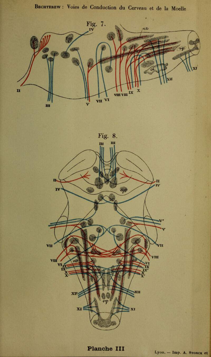 Fig. 8. Planche III