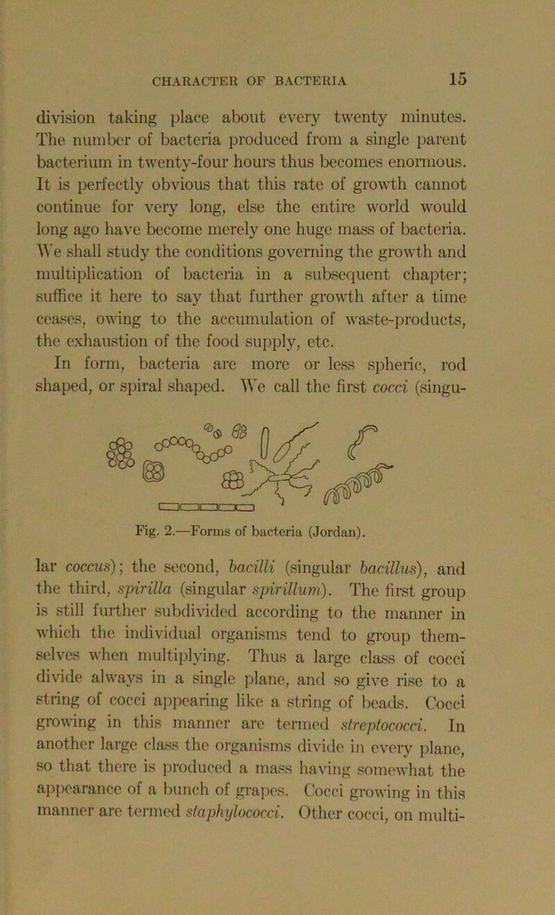 division taking place about every twenty minutes. The number of bacteria produced from a single parent bacterium in twenty-four hours thus becomes enormous. It is perfectly obvious that this rate of growth cannot continue for veiy long, else the entire world would long ago have become merely one huge mass of bacteria. We shall study the conditions governing the growth and multiplication of bacteria in a subsequent chapter; suffice it here to say that further growth after a time ceases, owing to the accumulation of waste-products, the exhaustion of the food supply, etc. In form, bacteria are more or less spheric, rod shaped, or spiral shaped. We call the first cocci (singu- Fig. 2.—Forms of bacteria (Jordan). lar coccus); the second, bacilli (singular bacillus), and the third, spirilla (singular spirillum). The first group is still further subdivided according to the manner in which the individual organisms tend to group them- selves when multiplying. Thus a large class of cocci divide always in a single plane, and so give rise to a string of cocci appearing like a string of beads. Cocci growing in this manner are termed streptococci. In another large class the organisms divide in every plane, so that there is produced a mass having somewhat the appearance of a bunch of grapes. Cocci growing in this manner are termed staphylococci. Other cocci, on multi-