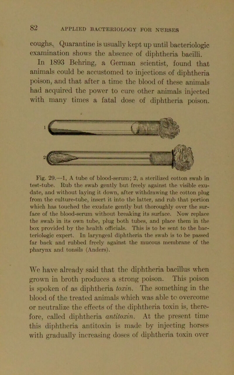 coughs. Quarantine is usually kept up until bacteriologic examination shows the absence of diphtheria bacilli. In 1893 Behring, a German scientist, found that animals could be accustomed to injections of diphtheria poison, and that after a time the blood of these animals had acquired the power to cure other animals injected with many times a fatal dose of diphtheria poison. Fig. 29.—1, A tube of blood-serum; 2, a sterilized cotton swab in test-tube. Rub the swab gently but freely against the visible exu- date, and without laying it down, after withdrawing the cotton plug from the culture-tube, insert it into the latter, and rub that portion which has touched the exudate gently but thoroughly over the sur- face of the blood-serum without breaking its surface. Now replace the swab in its own tube, plug both tubes, and place them in the box provided by the health officials. 'Phis is to be sent to the bac- teriologic expert. In laryngeal diphtheria the swab is to be passed far back and rubbed freely against the mucous membrane of the pharynx and tonsils (Anders). We have already said that the diphtheria bacillus when grown in broth produces a strong poison. This poison is spoken of as diphtheria toxin. The something in the blood of the treated animals which was able to overcome or neutralize the effects of the diphtheria toxin is, there- fore, called diphtheria antitoxin. At the present time this diphtheria antitoxin is made by injecting horses with gradually increasing doses of diphtheria toxin over