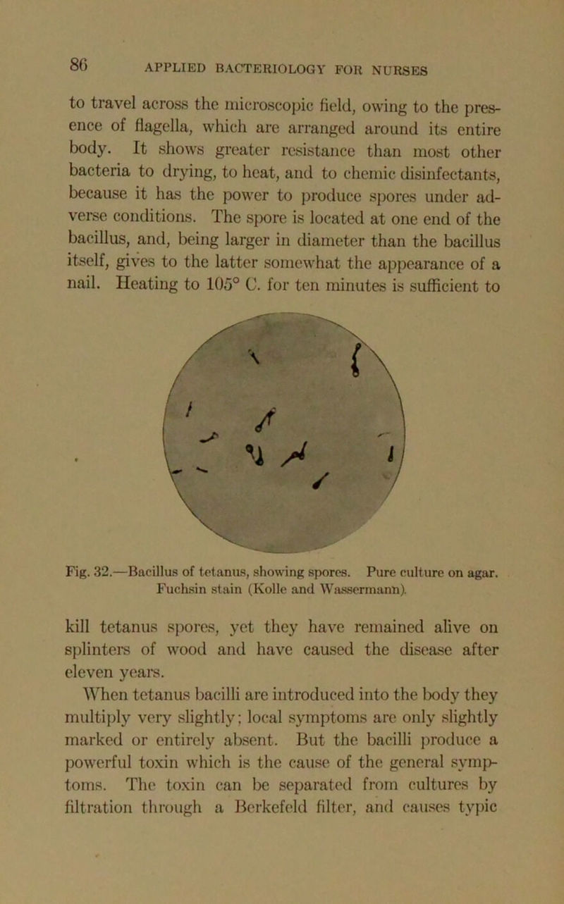 to travel across the microscopic field, owing to the pres- ence of flagella, which are arranged around its entire body. It shows greater resistance than most other bacteria to drying, to heat, and to chemic disinfectants, because it has the power to produce spores under ad- verse conditions. The spore is located at one end of the bacillus, and, being larger in diameter than the bacillus itself, gives to the latter somewhat the appearance of a nail. Heating to 105° C. for ten minutes is sufficient to Fig. 32.—Bacillus of tetanus, showing spores. Pure culture on agar. Fuchsin stain (Kolle and Wassermann). kill tetanus spores, yet they have remained alive on splinters of wood and have caused the disease after eleven years. When tetanus bacilli are introduced into the body they multiply very slightly; local symptoms are only slightly marked or entirely absent. But the bacilli produce a powerful toxin which is the cause of the general symp- toms. The toxin can be separated from cultures by filtration through a Berkefeld filter, and causes typic