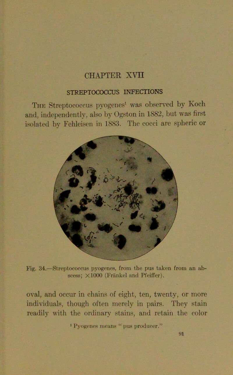 STREPTOCOCCUS INFECTIONS The Streptococcus pyogenes1 was observed by Koch and, independently, also by Ogston in 1882, but was first isolated by Fehleisen in 1883. The cocci are spheric or Fig. 34.—Streptococcus pyogenes, from the pus taken from an ab- scess; X1000 (Frankel and Pfeiffer). oval, and occur in chains of eight, ten, twenty, or more individuals, though often merely in pairs. They stain readily with the ordinary stains, and retain the color 1 Pyogenes means “ pus producer.”