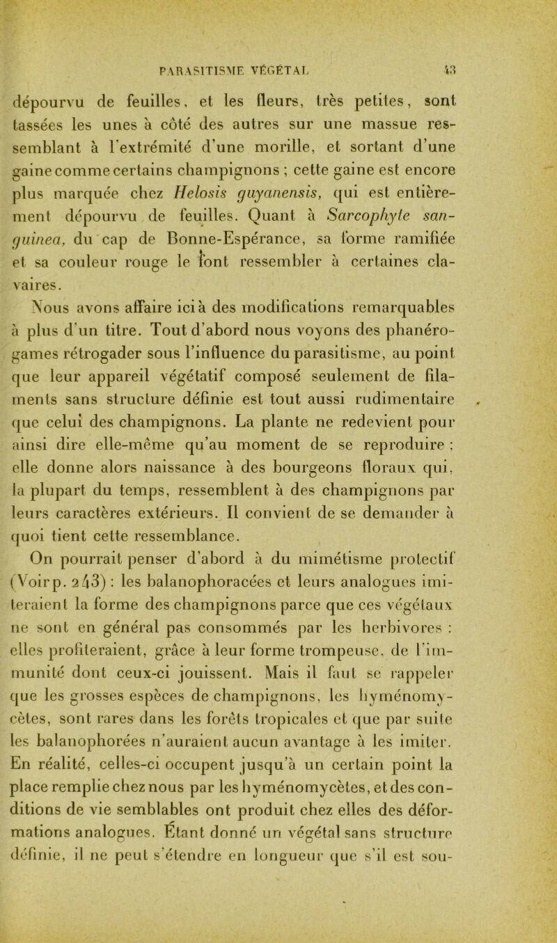 dépourvu de feuilles, et les fleurs, très petites, sont tassées les unes à côté des autres sur une massue res- semblant à l’extrémité d’une morille, et sortant d’une gaine comme certains champignons ; cette gaine est encore plus marquée chez Helosis guyanensis, qui est entière- ment dépourvu de feuilles. Quant à Scircophyte san- guinea, du cap de Bonne-Espérance, sa forme ramifiée et sa couleur rouge le font ressembler à certaines cla- vaires. Nous avons affaire ici à des modifications remarquables à plus d’un titre. Tout d’abord nous voyons des phanéro- games rétrogader sous l’influence du parasitisme, au point que leur appareil végétatif composé seulement de fila- ments sans structure définie est tout aussi rudimentaire que celui des champignons. La plante ne redevient pour ainsi dire elle-même qu’au moment de se reproduire ; elle donne alors naissance à des bourgeons floraux qui, la plupart du temps, ressemblent à des champignons par leurs caractères extérieurs. Il convient de se demander à quoi tient cette ressemblance. On pourrait penser d’abord à du mimétisme protectif (Voirp. 2 43) : les balanophoracées et leurs analogues imi- teraient la forme des champignons parce que ces végétaux ne sont en général pas consommés par les herbivores : elles profileraient, grâce à leur forme trompeuse, de l’im- munité dont ceux-ci jouissent. Mais il faut se rappeler que les grosses espèces de champignons, les hyménomy- cètes, sont rares dans les forêts tropicales et que par suite les balanophorées n’auraient aucun avantage à les imiter. En réalité, celles-ci occupent jusqu’à un certain point la place remplie chez nous par les hyménomycètes, et des con- ditions de vie semblables ont produit chez elles des défor- mations analogues. Etant donné un végétal sans structure défi nie, il ne peut s’étendre en longueur que s’il est sou-