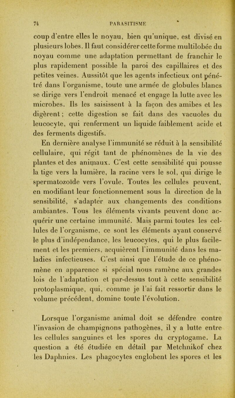 coup d’entre elles le noyau, bien qu’unique, est divisé en plusieurs lobes. Il faut considérer cette forme multilobée du noyau comme une adaptation permettant de franchir le plus rapidement possible la paroi des capillaires et des petites veines. Aussitôt que les agents infectieux ont péné- tré dans l’organisme, toute une armée de globules blancs se dirige vers l’endroit menacé et engage la lutte avec les microbes. Ils les saisissent à la façon des amibes et les digèrent ; cette digestion se fait dans des vacuoles du leucocyte, qui renferment un liquide faiblement acide et des ferments digestifs. En dernière analyse l'immunité se réduit à la sensibilité cellulaire, qui régit tant de phénomènes de la vie des plantes et des animaux. C’est cette sensibilité qui pousse la tige vers la lumière, la racine vers le sol, qui dirige le spermatozoïde vers l’ovule. Toutes les cellules peuvent, en modifiant leur fonctionnement sous la direction de la sensibilité, s’adapter aux changements des conditions ambiantes. Tous les éléments vivants peuvent donc ac- quérir une certaine immunité. Mais parmi toutes les cel- lules de l’organisme, ce sont les éléments ayant conservé le plus d’indépendance, les leucocytes, qui le plus facile- ment et les premiers, acquièrent l’immunité dans les ma- ladies infectieuses. C’est ainsi que l’étude de ce phéno- mène en apparence si spécial nous ramène aux grandes lois de l’adaptation et par-dessus tout à cette sensibilité protoplasmique, qui, comme je l ai fait ressortir dans le volume précédent, domine toute l’évolution. Lorsque l’organisme animal doit se défendre contre l’invasion de champignons pathogènes, il y a lutte entre les cellules sanguines et les spores du cryptogame. La question a été étudiée en détail par Metclinikof chez les Daphnies. Les phagocytes englobent les spores et les