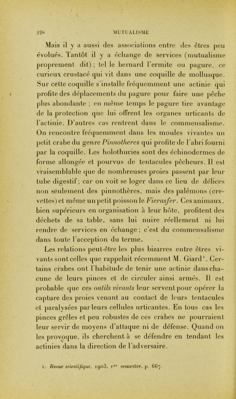 Mais il y a aussi des associations entre des cires peu évolués. Tantôt il y a échange de services (mutualisme proprement dit) ; tel le bernard l’ermite ou pagure, ce curieux crustacé qui vit dans une coquille de mollusque. Sur cette coquille s’installe fréquemment une actinie qui profite des déplacements du pagure pour faire une pêche plus abondante ; en même temps le pagure tire avantage de la protection que lui offrent les organes urticants de l’actinie. D’autres cas rentrent dans le commensalisme. On rencontre fréquemment dans les moules vivantes un petit crabe du genre Pinnot/ieres qui profite de l'abri fourni par la coquille. Les holothuries sont des échinodermes de forme allongée et pourvus de tentacules pêcheurs. Il est vraisemblable que de nombreuses proies passent par leur tube digestif; car on voit se loger dans ce lieu de délices non seulement des pinnothères, mais des palémons (cre- vettes) et même un petit poisson le Fierasfer. Ces animaux, bien supérieurs en organisation à leur hôte, profitent des déchets de sa table, sans lui nuire réellement ni lui rendre de services en échange ; c’est du commensalisme dans toute l’acception du terme. Les relations peut-être les plus bizarres entre êtres vi- vants sont celles que rappelait récemment M. Giard1. Cer- tains crabes ont l habitude de tenir une actinie dans cha- cune de leurs pinces et de circuler ainsi armés. Il est probable que ces outils vivants leur servent pour opérer la capture des proies venant au contact de leurs tentacules et paralysées parleurs cellules urticantes. En tous cas les pinces grêles et peu robustes de ces crabes ne pourraient leur servir de moyens d’attaque ni de défense. Quand on les provoque, ils cherchent à se défendre en tendant les actinies dans la direction de l'adversaire.