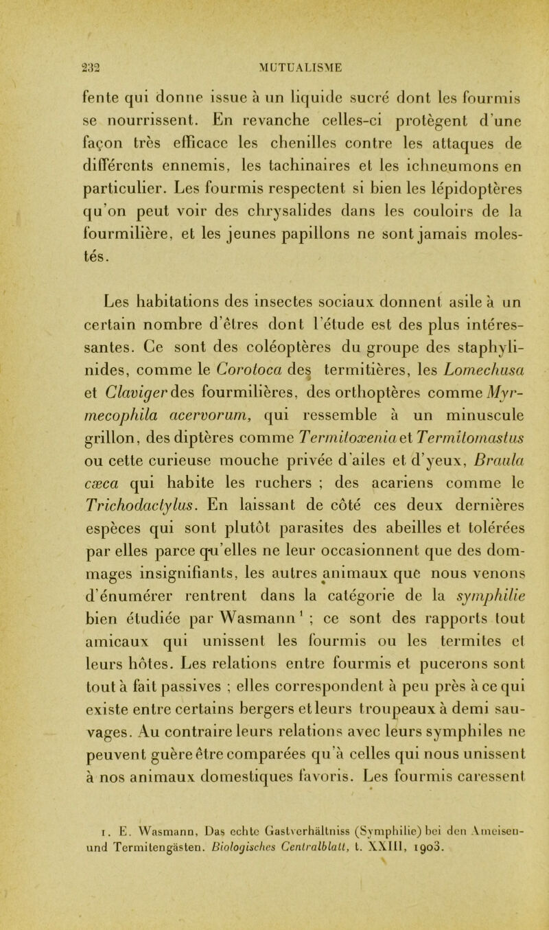 fente qui donne issue à un liquide sucré dont les fourmis se nourrissent. En revanche celles-ci protègent d'une façon très efficace les chenilles contre les attaques de différents ennemis, les tachinaires et les ichneumons en particulier. Les fourmis respectent si bien les lépidoptères qu'on peut voir des chrysalides dans les couloirs de la fourmilière, et les jeunes papillons ne sont jamais moles- tés. Les habitations des insectes sociaux donnent asile a un certain nombre d’êtres dont 1 étude est des plus intéres- santes. Ce sont des coléoptères du groupe des staphyli- nides, comme le Corotoca des termitières, les Lomechusa et Claviger des fourmilières, des orthoptères comme Myr- mecophila cicervorum, qui ressemble à un minuscule grillon, des diptères comme Termitoxeniciet Termitomastas ou cette curieuse mouche privée d'ailes et d’yeux, Branla cæca qui habite les ruchers ; des acariens comme le Trichodactylas. En laissant de côté ces deux dernières espèces qui sont plutôt parasites des abeilles et tolérées par elles parce qu’elles ne leur occasionnent que des dom- mages insignifiants, les autres animaux que nous venons d’énumérer rentrent dans la catégorie de la symphilie bien étudiée par Wasmann1 ; ce sont des rapports tout amicaux qui unissent les fourmis ou les termites cl leurs hôtes. Les relations entre fourmis et pucerons sont tout à fait passives ; elles correspondent à peu près à ce qui existe entre certains bergers et leurs t roupeaux à demi sau- vages. Au contraire leurs relations avec leurs symphiles ne peuvent guère être comparées qu’à celles qui nous unissent à nos animaux domestiques favoris. Les fourmis caressent « i. E. Wasmann, Das echtc Gastverhàltniss (Symphilie) bei den Ameiseu- und Termitengàsten. Biologisches Centralblalt, t. XXI11, 1900.