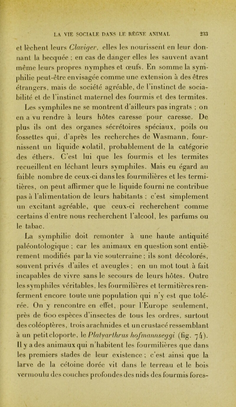 et lèchent leurs Claviger, elles les nourissent en leur don- nant la becquée ; en cas de danger elles les sauvent avant même leurs propres nymphes et œufs. En somme la sym- philie peut-être envisagée comme une extension à des êtres étrangers, mais de société agréable, de l’instinct de socia- bilité et de l’instinct maternel des fourmis et des termites. Les symphiles ne se montrent d’ailleurs pas ingrats ; on en a vu rendre à leurs hôtes caresse pour caresse. De plus ils ont des organes sécrétoires spéciaux, poils ou fossettes qui, d'après les recherches de Wasmann, four- nissent un liquide volatil, probablement de la catégorie des éthers. C’est lui que les fourmis et les termites recueillent en léchant leurs symphiles. Mais eu égard au faible nombre de ceux-ci dans les fourmilières et les termi- tières, on peut affirmer que le liquide fourni ne contribue pas à l’alimentation de leurs habitants : c’est simplement un excitant agréable, que ceux-ci recherchent comme certains d entre nous recherchent l’alcool, les parfums ou le tabac. La symphilie doit remonter à une haute antiquité paléontologique ; car les animaux en question sont entiè- rement modifiés par la vie souterraine ; ils sont décolorés, souvent privés d’ailes et aveugles ; en un mot tout à fait incapables de vivre sans le secours de leurs hôtes. Outre les symphiles véritables, les fourmilières et termitières ren- ferment encore toute une population qui n’y est que tolé- rée. On y rencontre en effet, pour l’Europe seulement, près de 600 espèces d’insectes de tous les ordres, surtout des coléoptères, trois arachnides et un crustacé ressemblant à un petit cloporte, le Platyarthrus hofmannseggi (fig. ~4). Il y a des animaux qui n’habitent les fourmilières que dans les premiers stades de leur existence ; c’est ainsi que la larve de la cétoine dorée vit dans le terreau et le bois vermoulu des couches profondes des nids des fourmis fores-
