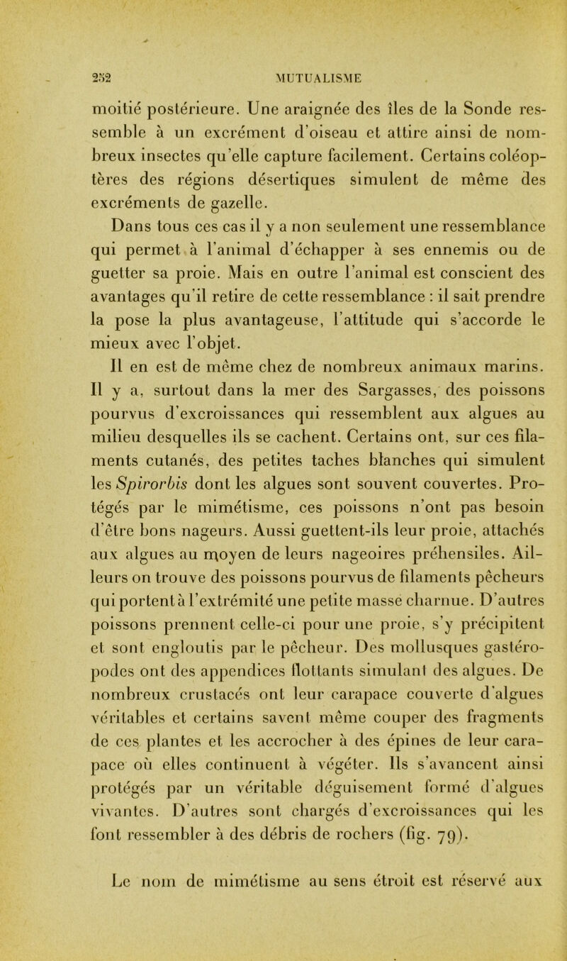 moitié postérieure. Une araignée des îles de la Sonde res- semble à un excrément d’oiseau et attire ainsi de nom- breux insectes qu elle capture facilement. Certains coléop- tères des régions désertiques simulent de même des excréments de gazelle. Dans tous ces cas il y a non seulement une ressemblance qui permet à l’animal d’échapper à ses ennemis ou de guetter sa proie. Mais en outre l’animal est conscient des avantages qu’il retire de cette ressemblance : il sait prendre la pose la plus avantageuse, l’attitude qui s’accorde le mieux avec l’objet. Il en est de même chez de nombreux animaux marins. Il y a, surtout dans la mer des Sargasses, des poissons pourvus d’excroissances qui ressemblent aux algues au milieu desquelles ils se cachent. Certains ont, sur ces fila- ments cutanés, des petites taches blanches qui simulent les Spirorbis dont les algues sont souvent couvertes. Pro- tégés par le mimétisme, ces poissons n’ont pas besoin d’être bons nageurs. Aussi guettent-ils leur proie, attachés aux algues au moyen de leurs nageoires préhensiles. Ail- leurs on trouve des poissons pourvus de filaments pêcheurs qui portent à l’extrémité une petite masse charnue. D’autres poissons prennent celle-ci pour une proie, s’y précipitent et sont engloutis par le pêcheur. Des mollusques gastéro- podes ont des appendices flottants simulant des algues. De nombreux crustacés ont leur carapace couverte d’algues véritables et certains savent même couper des fragments de ces plantes et les accrocher à des épines de leur cara- pace où elles continuent à végéter. Ils s'avancent ainsi protégés par un véritable déguisement formé d algues vivantes. D’autres sont chargés d’excroissances qui les font ressembler à des débris de rochers (lig. 79). Le nom de mimétisme au sens étroit est réservé aux