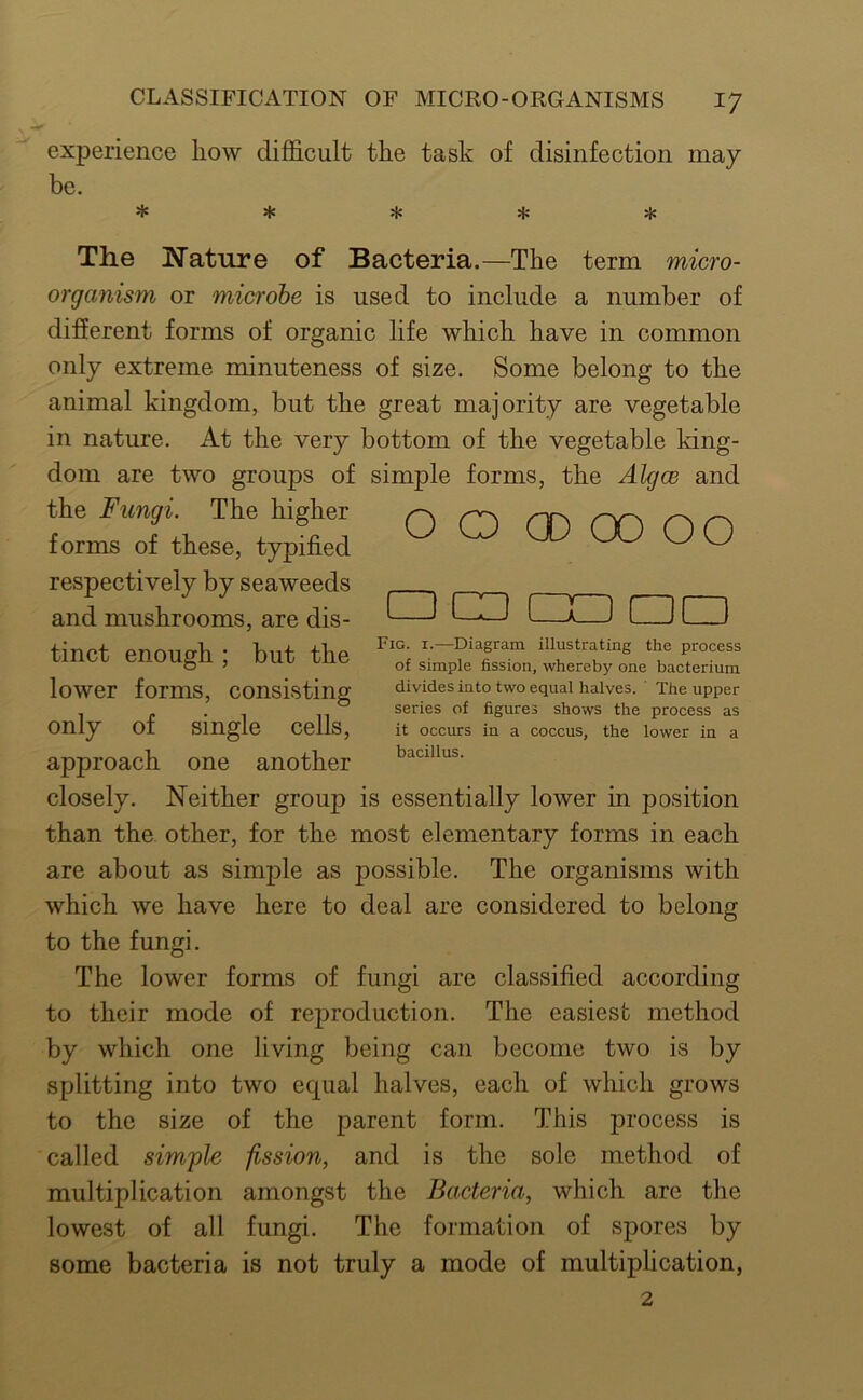 experience how difficult the task of disinfection may be. * * * 5h- * The Nature of Bacteria.—The term micro- organism or microbe is used to include a number of different forms of organic life which have in common only extreme minuteness of size. Some belong to the animal kingdom, but the great majority are vegetable in nature. At the very bottom of the vegetable king- dom are two groups of simple forms, the Alcjce and the Fungi. The higher ^ ^ ^ forms of these, typified UJ O O respectively by seaweeds and mushrooms, are dis- tinct enough ; but the lower forms, consisting only of single cells, approach one another closely. Neither group is essentially lower in position than the other, for the most elementary forms in each are about as simple as possible. The organisms with which we have here to deal are considered to belong to the fungi. The lower forms of fungi are classified according □ CD CXD cca Fig. I.—Diagram illustrating the process of simple fission, whereby one bacterium divides into two equal halves. ' The upper series of figures shows the process as it occurs in a coccus, the lower in a bacillus. to their mode of reproduction. The easiest method by which one living being can become two is by splitting into two ecpial halves, each of which grows to the size of the parent form. This process is called simple fission, and is the sole method of multiplication amongst the Bacteria, which are the lowest of all fungi. The formation of spores by some bacteria is not truly a mode of multiplication, 2