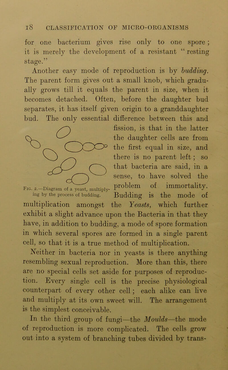 for one bacterium, gives rise only to one spore ; it is merely the development of a resistant “ resting stage.” Another easy mode of reproduction is by budding. The parent form gives out a small knob, which gradu- ally grows till it equals the parent in size, when it becomes detached. Often, before the daughter bud separates, it has itself given origin to a granddaughter bud. The only essential difference between this and fission, is that in the latter the daughter cells are from the first equal in size, and there is no parent left; so that bacteria are said, in a sense, to have solved the problem of immortality. Budding is the mode of multiplication amongst the Yeasts, which further exhibit a slight advance upon the Bacteria in that they have, in addition to budding, a mode of spore formation in which several spores are formed in a single parent cell, so that it is a true method of multiphcation. Neither in bacteria nor in yeasts is there anything resembling sexual reproduction. More than this, there are no special cells set aside for purposes of reproduc- tion. Every single cell is the precise physiological counterpart of every other cell; each alike can live and multiply at its own sweet will. The arrangement is the simplest conceivable. In the third group of fungi—the Moulds—the mode of reproduction is more complicated. The cells grow out into a system of branching tubes divided by trans- FiG. 2. Diagram of a yeast, multiply- ing by the process of budding.
