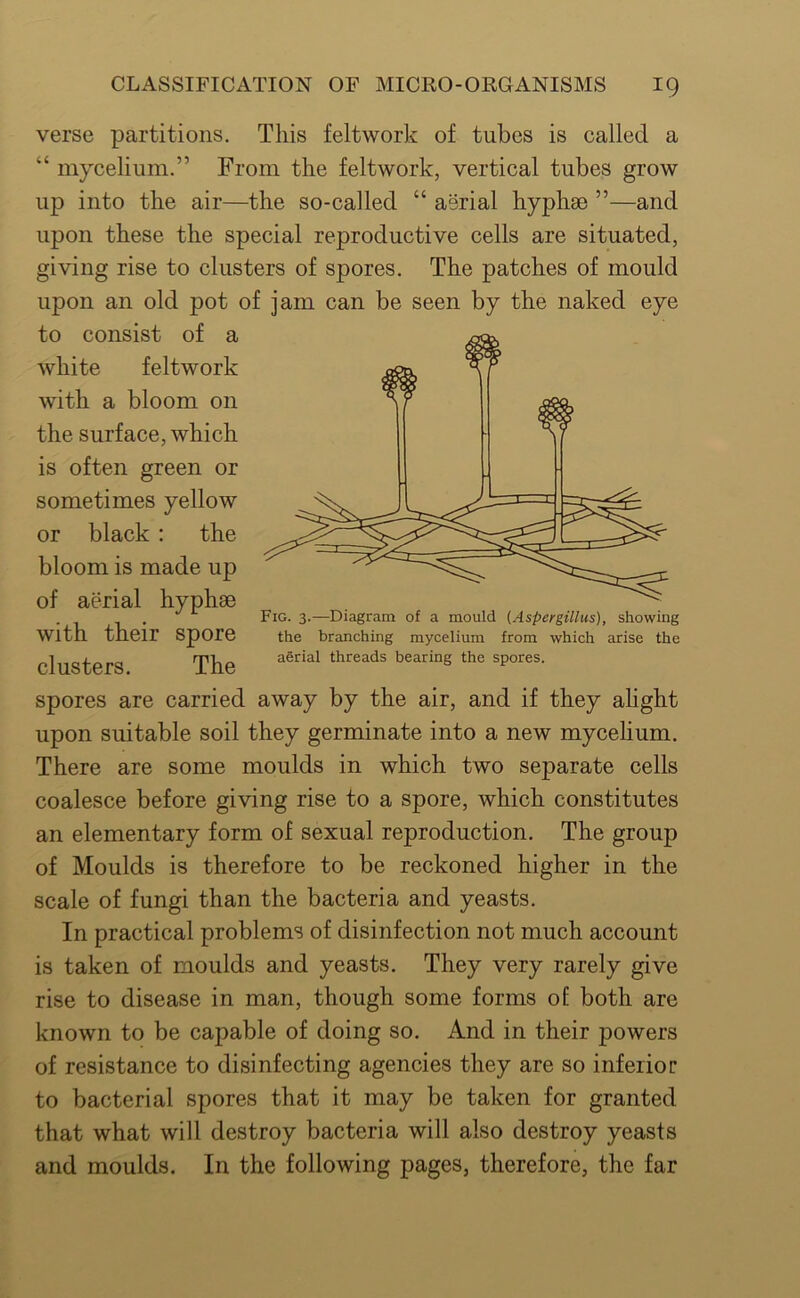 verse partitions. This feltwork of tubes is called a “ mycelium.” From the feltwork, vertical tubes grow up into the air—the so-called “ aerial hyphae ”—and upon these the special reproductive cells are situated, giving rise to clusters of spores. The patches of mould upon an old pot of jam can be seen by the naked eye to consist of a white feltwork with a bloom on the surface, which is often green or sometimes yellow or black; the bloom is made up of aerial hyphae . Fig. 3.—Diagram of a mould (Aspergillus), showing With their spore the branching mycelium from which arise the clusters The threads bearing the spores. spores are carried away by the air, and if they ahght upon suitable soil they germinate into a new mycelium. There are some moulds in which two separate cells coalesce before giving rise to a spore, which constitutes an elementary form of sexual reproduction. The group of Moulds is therefore to be reckoned higher in the scale of fungi than the bacteria and yeasts. In practical problems of disinfection not much account is taken of moulds and yeasts. They very rarely give rise to disease in man, though some forms of both are known to be capable of doing so. And in their powers of resistance to disinfecting agencies they are so inferior to bacterial spores that it may be taken for granted that what will destroy bacteria will also destroy yeasts and moulds. In the following pages, therefore, the far
