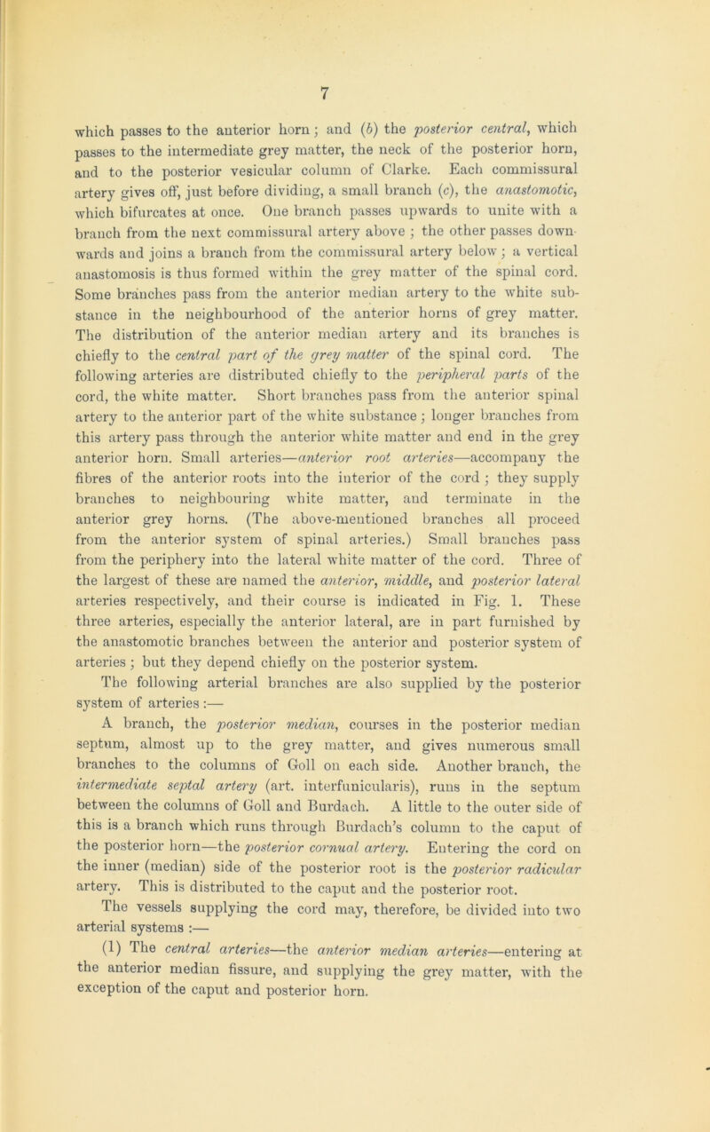 which passes to the anterior horn; and (b) the posterior central, which passes to the intermediate grey matter, the neck of the posterior horn, and to the posterior vesicular column of Clarke. Each commissural artery gives off, just before dividing, a small branch (c), the anastomotic, which bifurcates at once. One branch passes upwards to unite with a branch from the next commissural artery above ; the other passes down wards and joins a branch from the commissural artery below; a vertical anastomosis is thus formed within the grey matter of the spinal cord. Some branches pass from the anterior median artery to the white sub- stance in the neighbourhood of the anterior horns of grey matter. The distribution of the anterior median artery and its branches is chiefly to the central part of the grey matter of the spinal cord. The following arteries are distributed chiefly to the peripheral parts of the cord, the white matter. Short branches pass from the anterior spinal artery to the anterior part of the white substance; longer branches from this artery pass through the anterior white matter and end in the grey anterior horn. Small arteries—anterior root arteries—accompany the fibres of the anterior roots into the interior of the cord ; they supply branches to neighbouring white matter, and terminate in the anterior grey horns. (The above-mentioned branches all proceed from the anterior system of spinal arteries.) Small branches pass from the periphery into the lateral white matter of the cord. Three of the largest of these are named the anterior, middle, and posterior lateral arteries respectively, and their course is indicated in Fig. 1. These three arteries, especially the anterior lateral, are in part furnished by the anastomotic branches between the anterior and posterior system of arteries; but they depend chiefly on the posterior system. The following arterial branches are also supplied by the posterior system of arteries :— A branch, the posterior median, courses in the posterior median septum, almost up to the grey matter, and gives numerous small branches to the columns of Goll on each side. Another branch, the intermediate septal artery (art. interfunicularis), runs in the septum between the columns of Goll and Burdach. A little to the outer side of this is a branch which runs through Burdach’s column to the caput of the posterior horn—the posterior cornual artery. Entering the cord on the inner (median) side of the posterior root is the posterior radicular artery. This is distributed to the caput and the posterior root. The vessels supplying the cord may, therefore, be divided into two arterial systems :— (1) The central arteries—the anterior median arteries—entering at the anterior median fissure, and supplying the grey matter, with the exception of the caput and posterior horn.