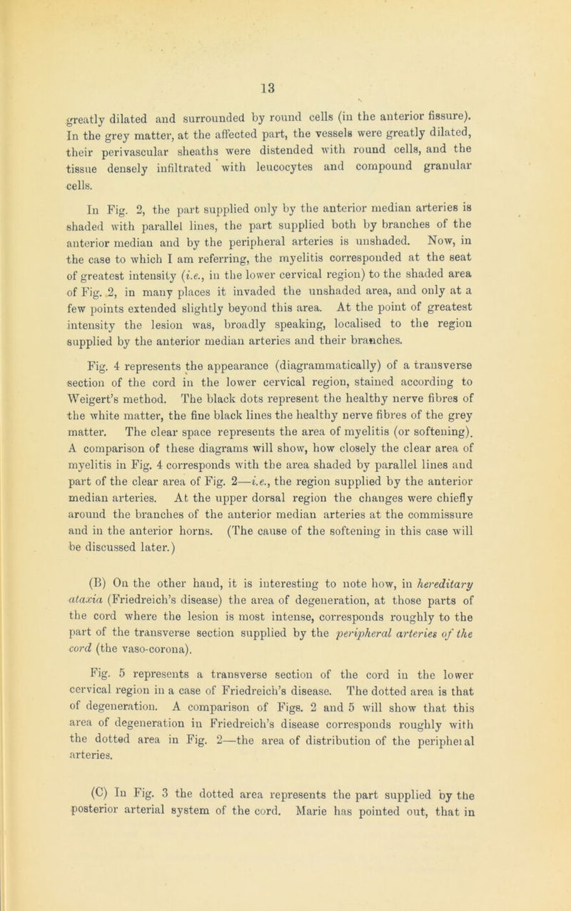 greatly dilated and surrounded by round cells (in the anterior fissure). In the grey matter, at the affected part, the vessels were greatly dilated, their perivascular sheaths were distended with round cells, and the tissue densely infiltrated with leucocytes and compound granular cells. In Fig. 2, the part supplied only by the anterior median arteries is shaded with parallel lines, the part supplied both by branches of the anterior median and by the peripheral arteries is unshaded. Now, in the case to which I am referring, the myelitis corresponded at the seat of greatest intensity (i.e., in the lower cervical region) to the shaded area of Fig. 2, in many places it invaded the unshaded area, and only at a few points extended slightly beyond this area. At the point of greatest intensity the lesion was, broadly speaking, localised to the region supplied by the anterior median arteries and their branches. Fig. 4 represents the appearance (diagrammatically) of a transverse section of the cord in the lower cervical region, stained according to Weigert’s method. The black dots represent the healthy nerve fibres of the white matter, the fine black lines the healthy nerve fibres of the grey matter. The clear space represents the area of myelitis (or softening). A comparison of these diagrams will show, how closely the clear area of myelitis in Fig. 4 corresponds with the area shaded by parallel lines and part of the clear area of Fig. 2—i.e., the region supplied by the anterior median arteries. At the upper dorsal region the changes were chiefly around the branches of the anterior median arteries at the commissure and in the anterior horns. (The cause of the softening in this case will be discussed later.) (B) On the other hand, it is interesting to note how, in hereditary ataxia (Friedreich’s disease) the area of degeneration, at those parts of the cord where the lesion is most intense, corresponds roughly to the part of the transverse section supplied by the peripheral arteries of the cord (the vaso-corona). Fig. 5 represents a transverse section of the cord in the lower cervical region in a case of Friedreich’s disease. The dotted area is that of degeneration. A comparison of Figs. 2 and 5 will show that this area of degeneration in Friedreich’s disease corresponds roughly with the dotted area in Fig. 2—the area of distribution of the peripheial arteries. (C) In Fig. 3 the dotted area represents the part supplied by the posterior arterial system of the cord. Marie has pointed out, that in