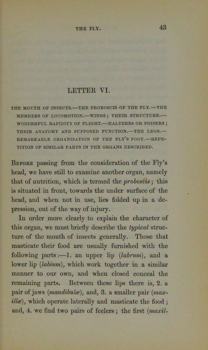 LETTEE VI. THE MOUTH OF INSECTS.—THE PHOBOSCIS OF THE FLY.—THE MEMBERS OF LOCOMOTION.—WINGS ; THEIR STRUCTURE.— WONDERFUL RAPIDITY OF FLIGHT.—HALTERES OB POISERS ; THEIR ANATOMY AND SUPPOSED FLTfCTION.—THE LEGS.— REMARKABLE ORGANIZATION OF THE FLY’S FOOT.—REPE- TITION OF SIMILAR PARTS IN THE ORGANS DESCRIBED. Before passing from tlie consideration of the Fly^s head, we have still to examine another organ, namely that of nutrition, which is termed the probostis; this is situated in front, towards the under surfaee of the head, and when not in use, lies folded up in a de- pression, out of the way of injury. In order more clearly to explain the character of this organ, we must briefly describe the typical struc- ture of the mouth of insects generally. Those that masticate their food are usually furnished with the following parts;—1. an upper lip {labrum), and a lower lip {labium), which work together in a similar manner to our own, and when closed conceal the remaining parts. Between these lips there is, 2. a pair of jaws {mandibulcB), and, 3. a smaller pair {max- illa), which operate laterally and masticate the food ; and, 4. we find two pairs of feelers j the first {maxil-