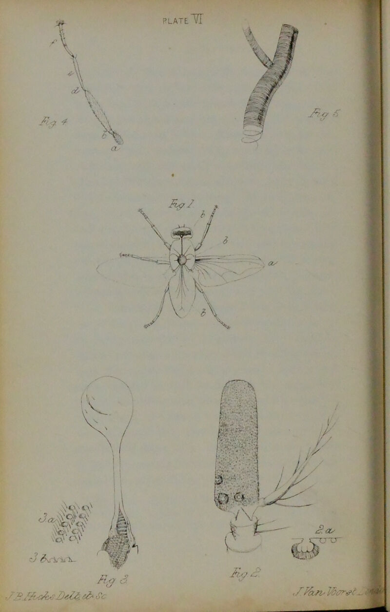 plateTT ei< Sc fieri' Wer^t