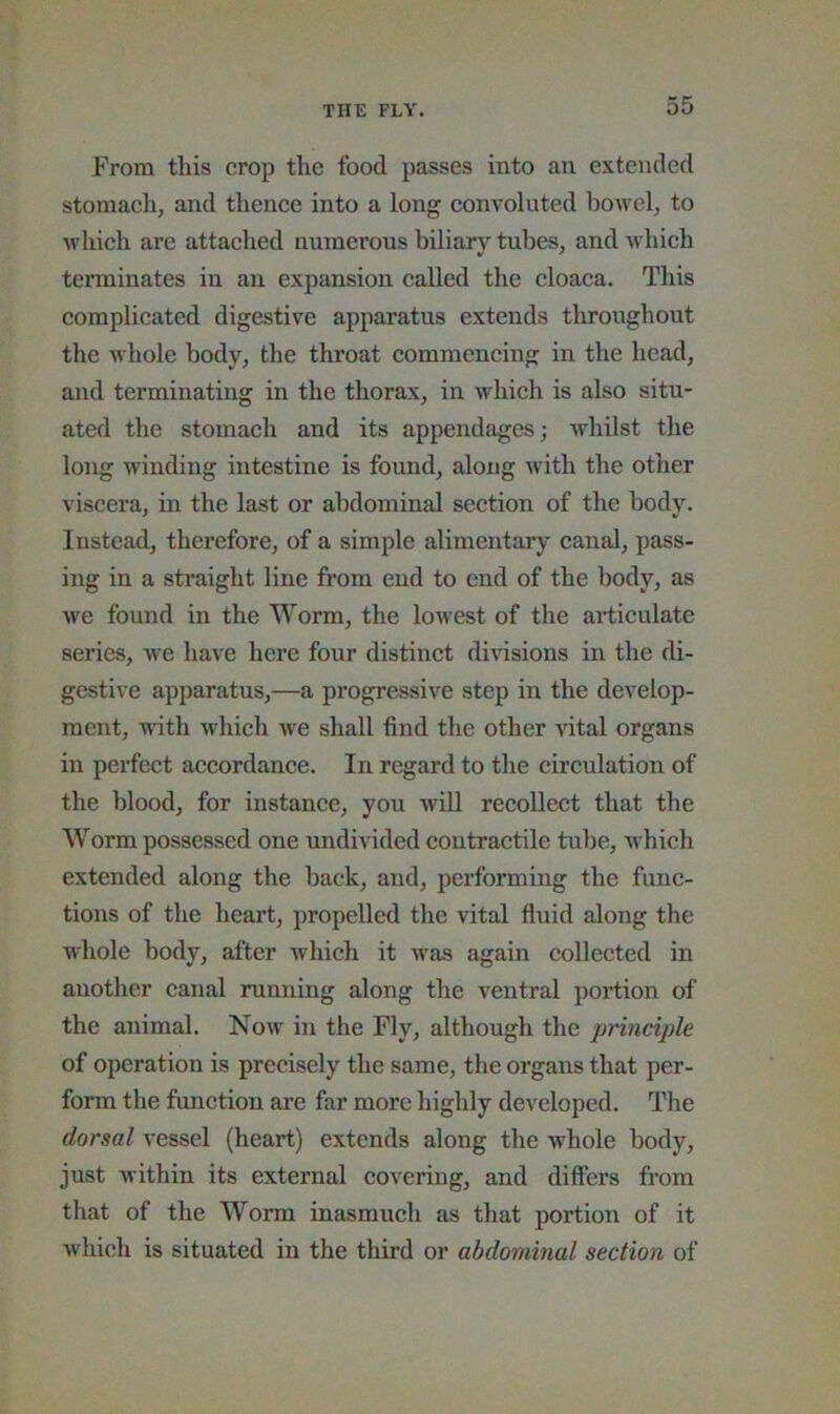 From this crop the food passes into an extended stomach, and thence into a long convoluted hoAvel, to which are attached numerous biliary tubes, and which terminates in an expansion called the cloaca. This complicated digestive apparatus extends throughout the whole body, the throat eommencing in the head, and terminating in the thorax, in which is also situ- ated the stomach and its appendages; whilst the long winding intestine is found, along with the other viscera, in the last or abdominal section of the body. Instead, therefore, of a simple alimentary canal, pass- ing in a straight line from end to end of the body, as we found in the Worm, the lowest of the ai*ticulate series, we have here four distinct dmsions in the di- gestive apparatus,—a progressive step in the develop- ment, with which we shall find the other vital organs in pei’fect accordance. In regard to the circulation of the blood, for instance, you wiU reeollect that the Worm possessed one undivided contractile tube, which extended along the back, and, jjerforming the func- tions of the heart, propelled the vital fluid along the whole body, after which it was again collected in another canal running along the ventral portion of the animal. Now in the Fly, although the principle of operation is precisely the same, the organs that per- form the function are far more highly developed. The dorsal vessel (heart) extends along the whole body, just within its external covering, and differs from that of the Worm inasmuch as that portion of it which is situated in the third or abdominal section of